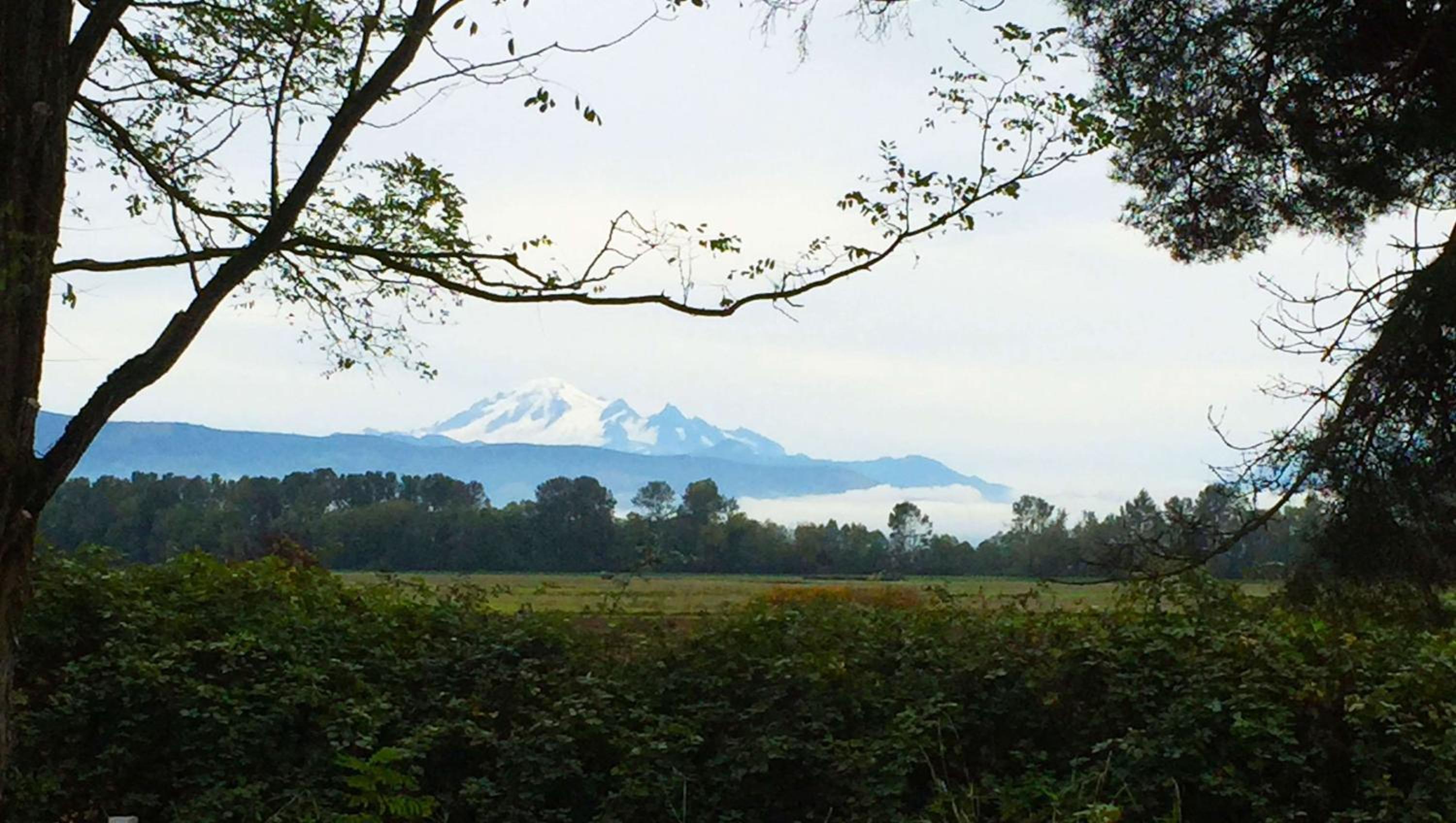 Windmill Inn Lynden view 2