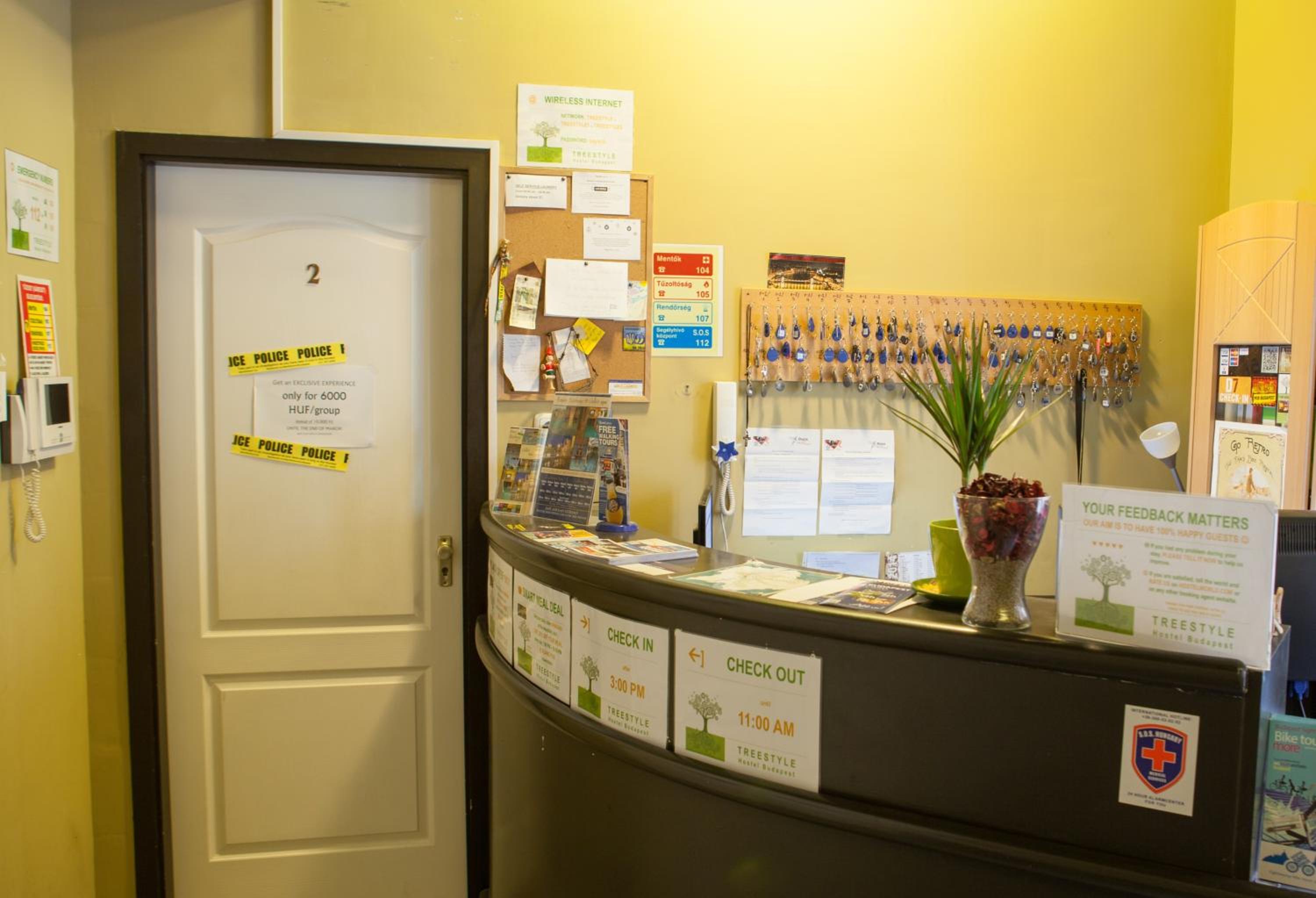 Treestyle Hostel