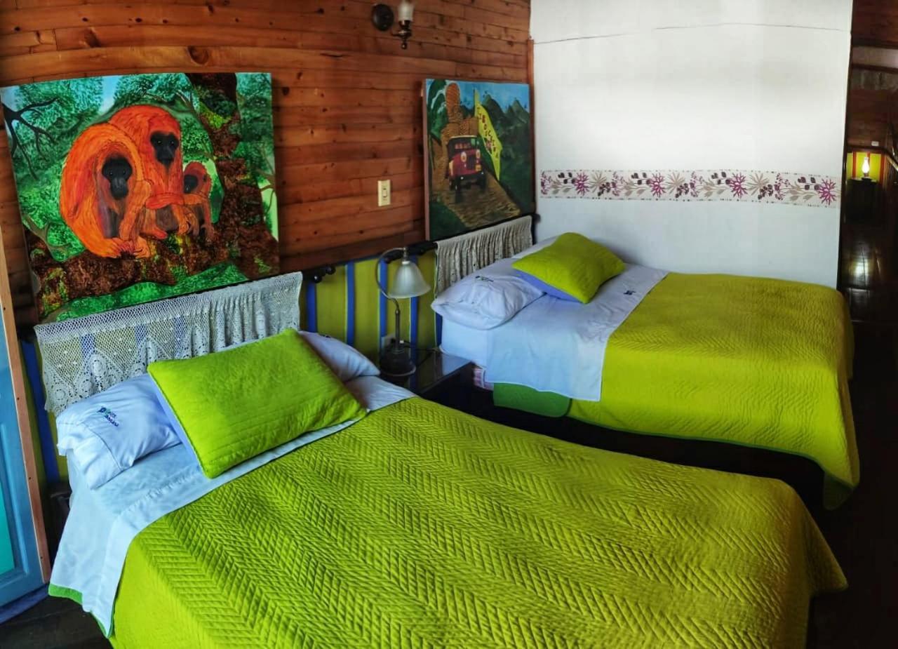 Hotel Tibouchina