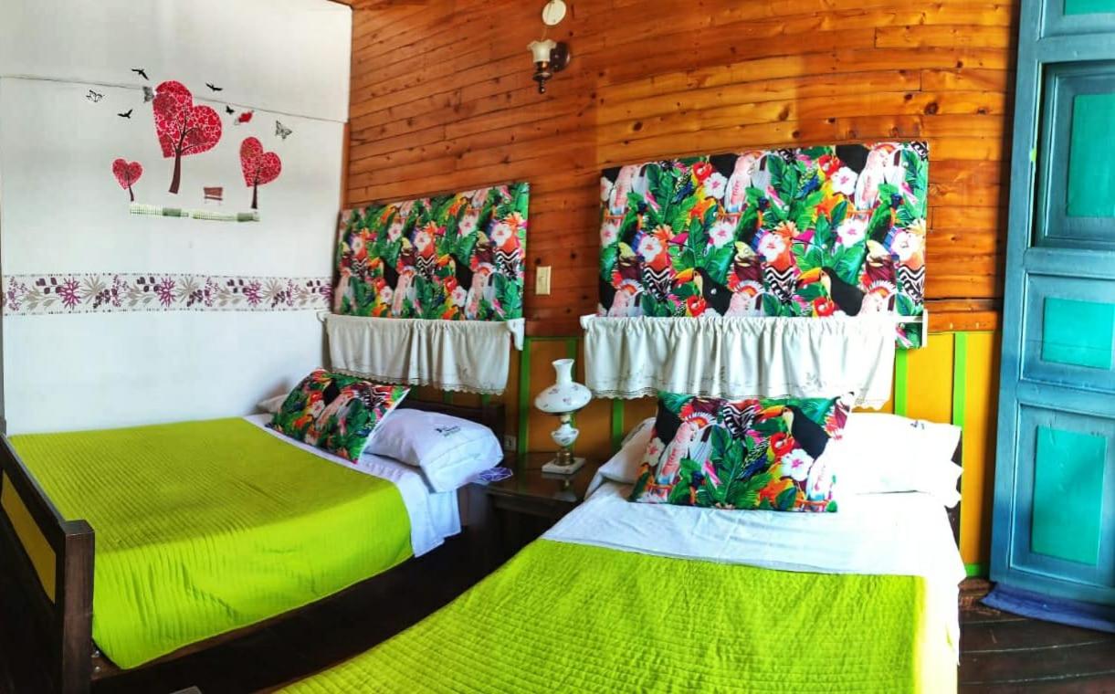 Hotel Tibouchina