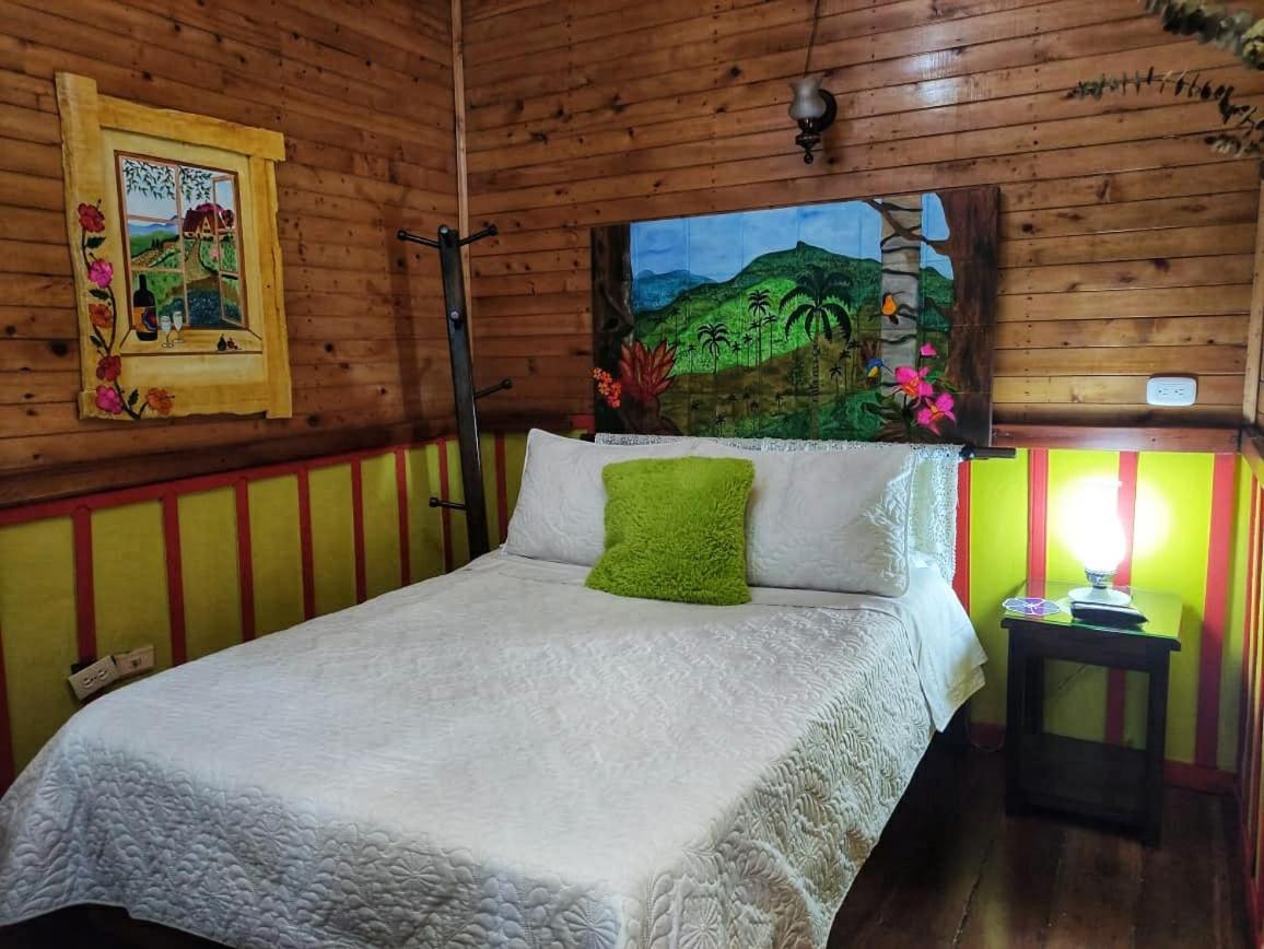 Hotel Tibouchina