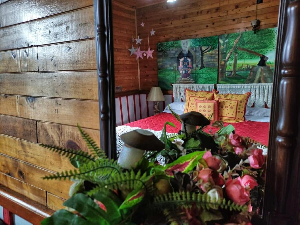 Hotel Tibouchina