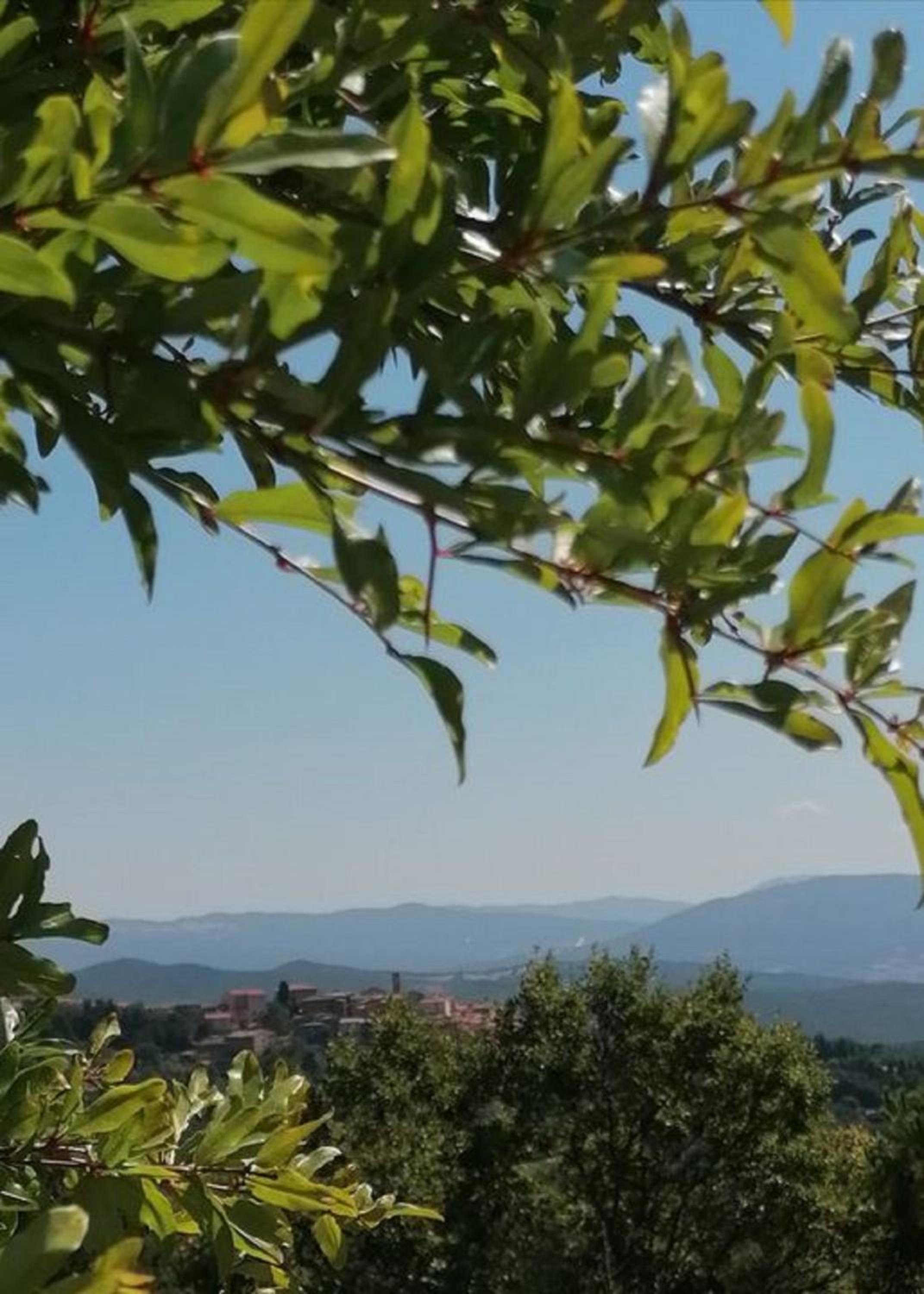 la Casa Delle Bimbe view 2