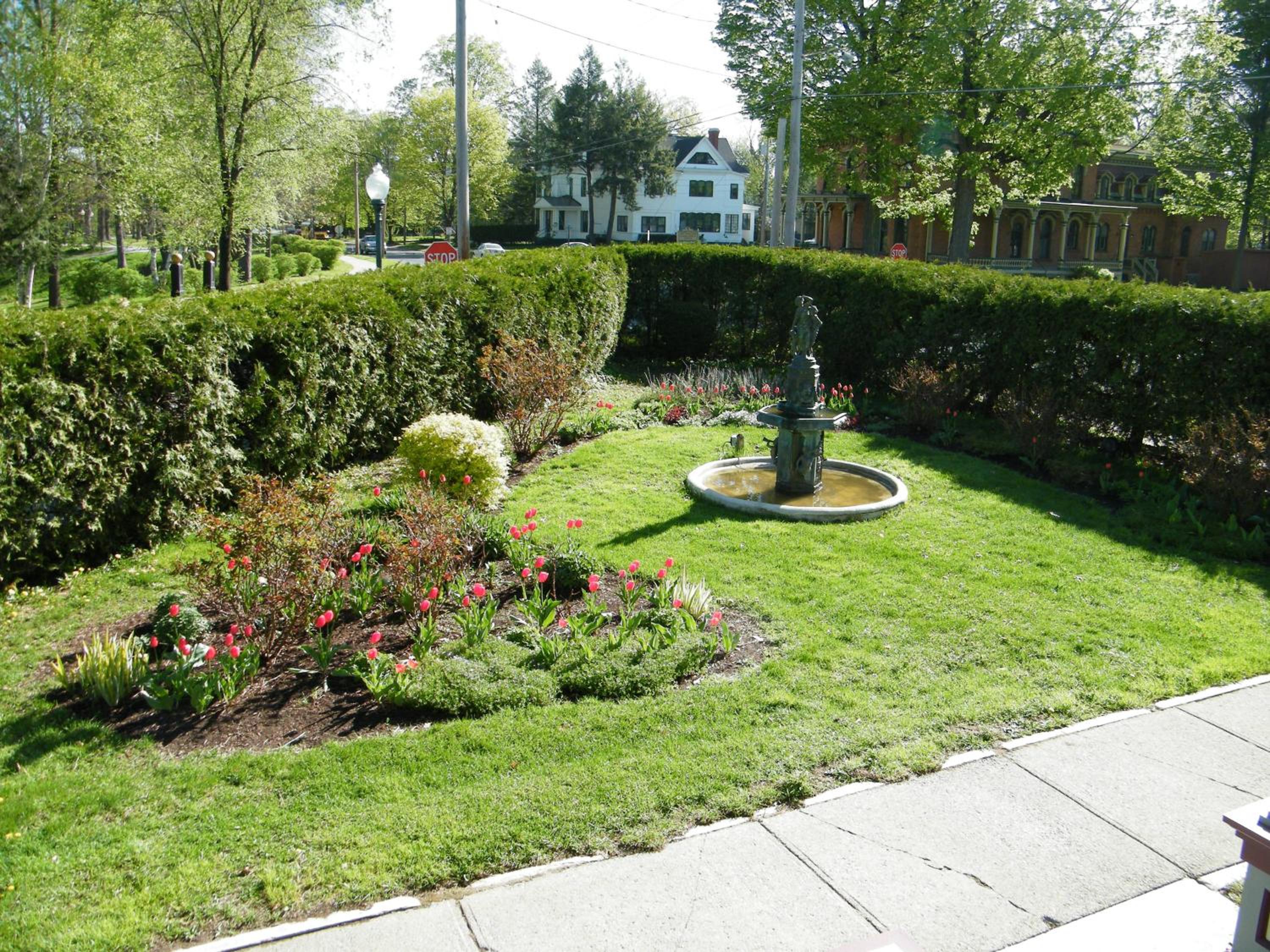Photo 41