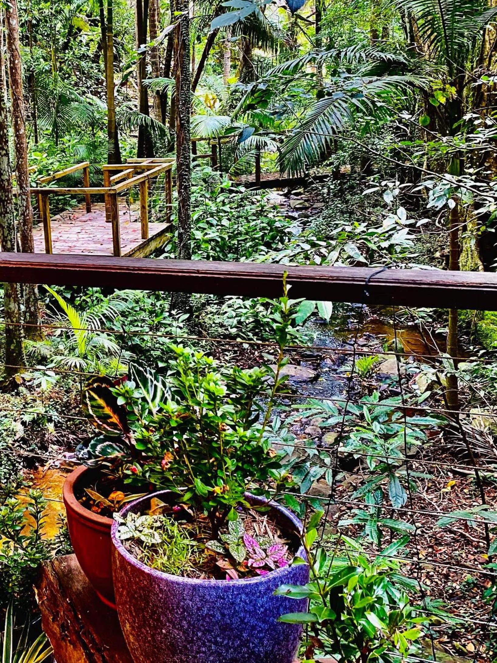 Treetops Montville