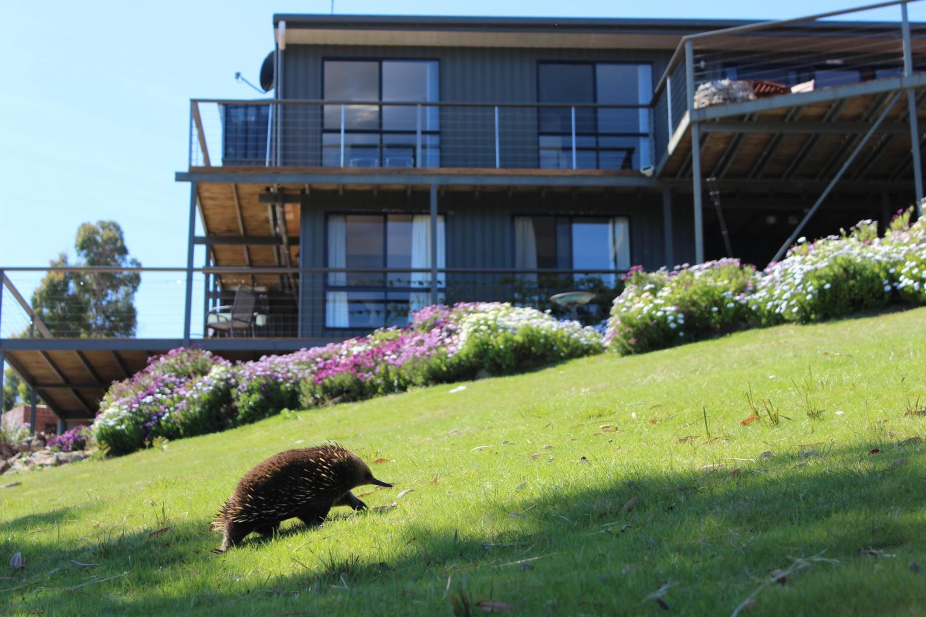 Storm Bay B&B