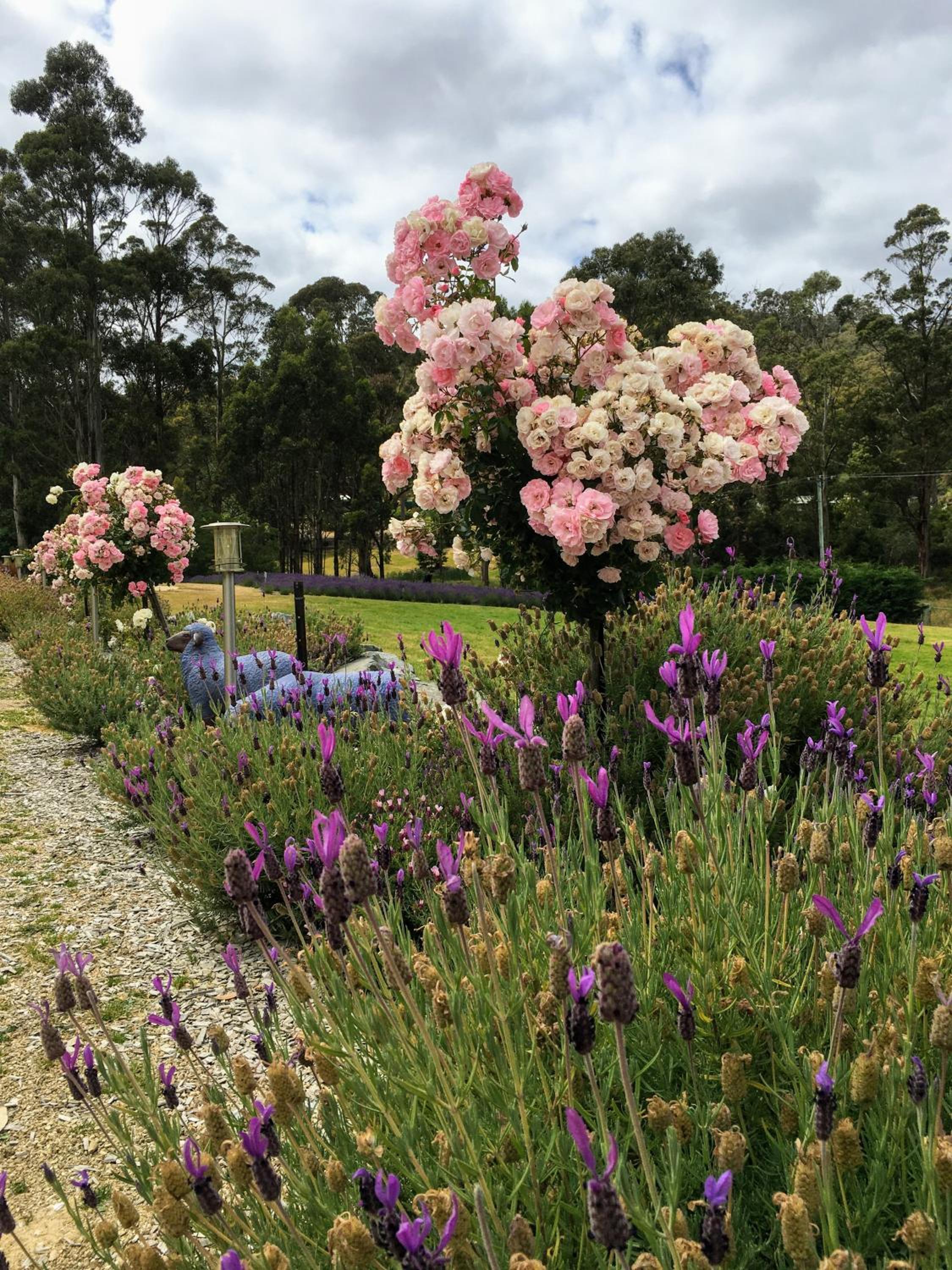 Storm Bay B&B