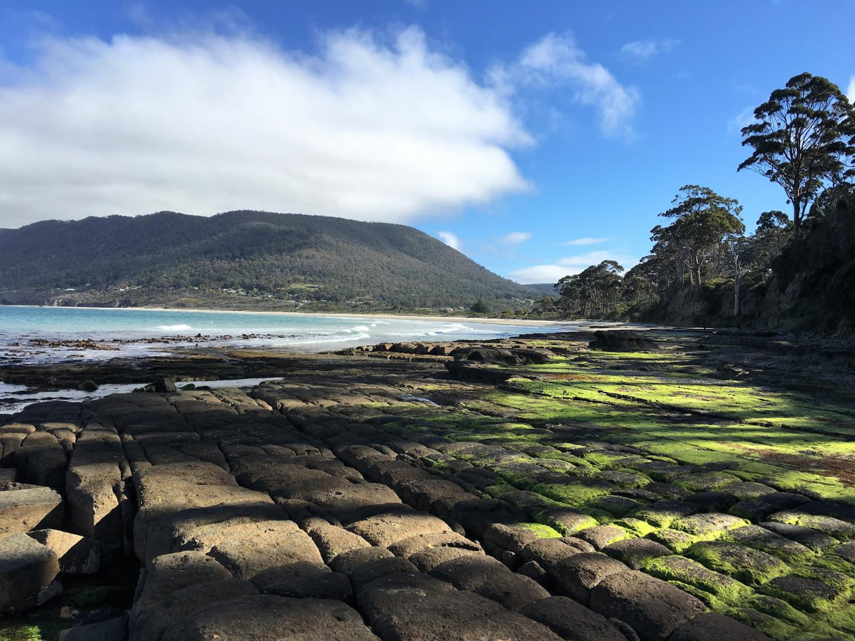 Storm Bay B&B