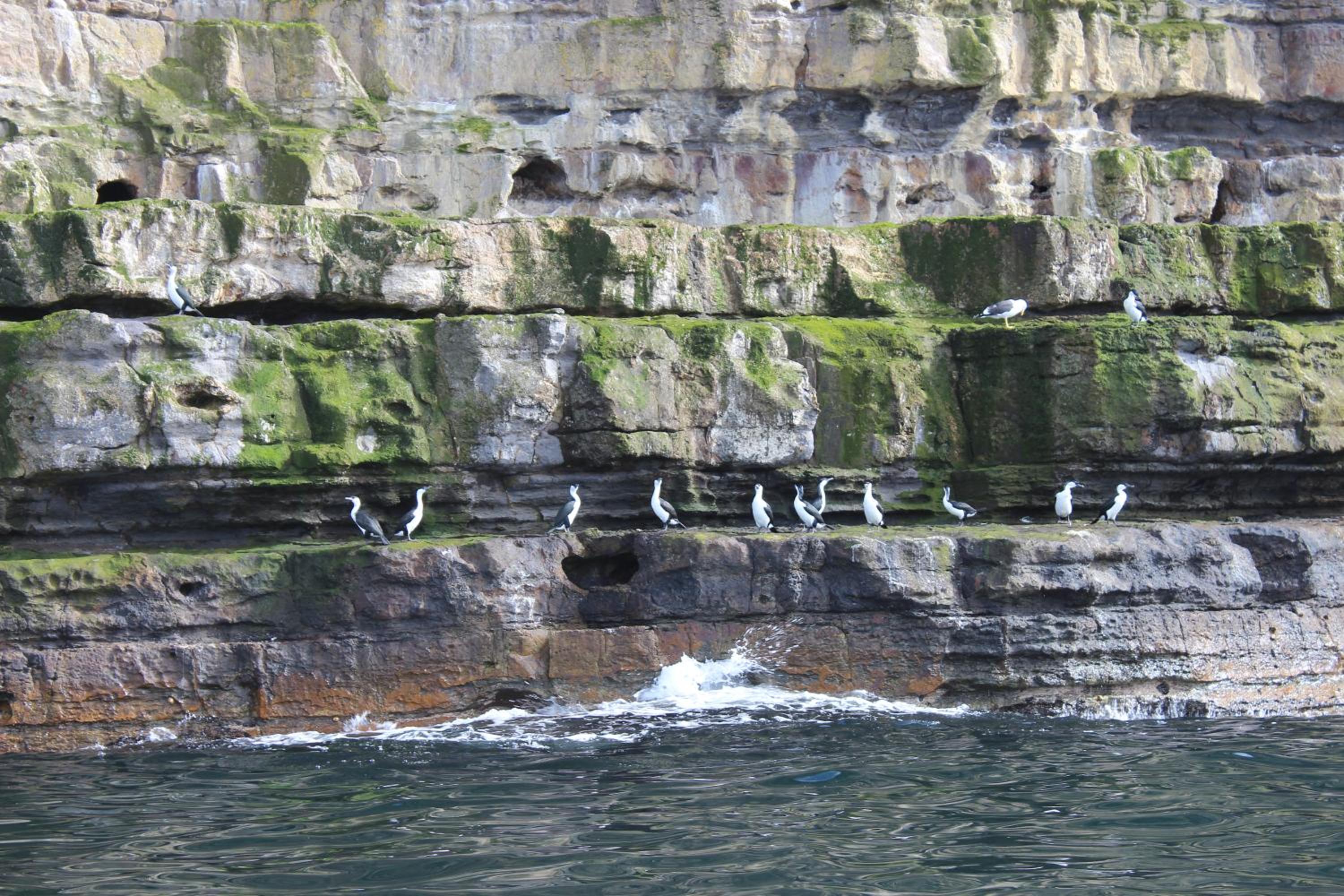 Storm Bay B&B