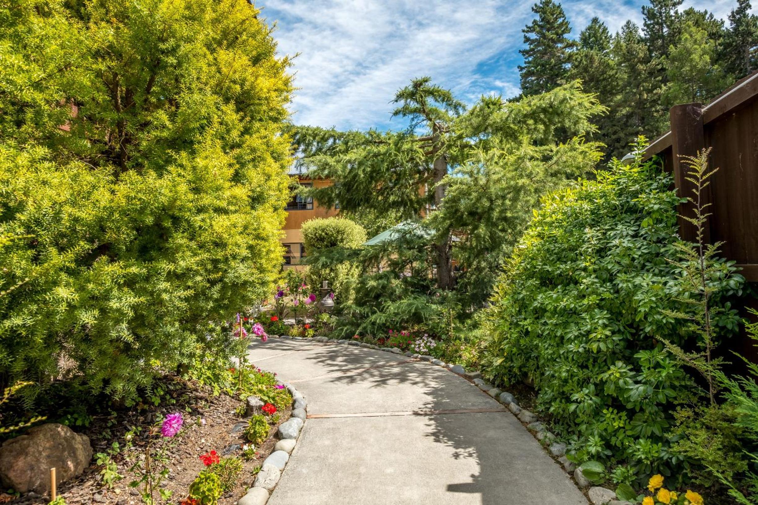 Kakapo Lodge view 3