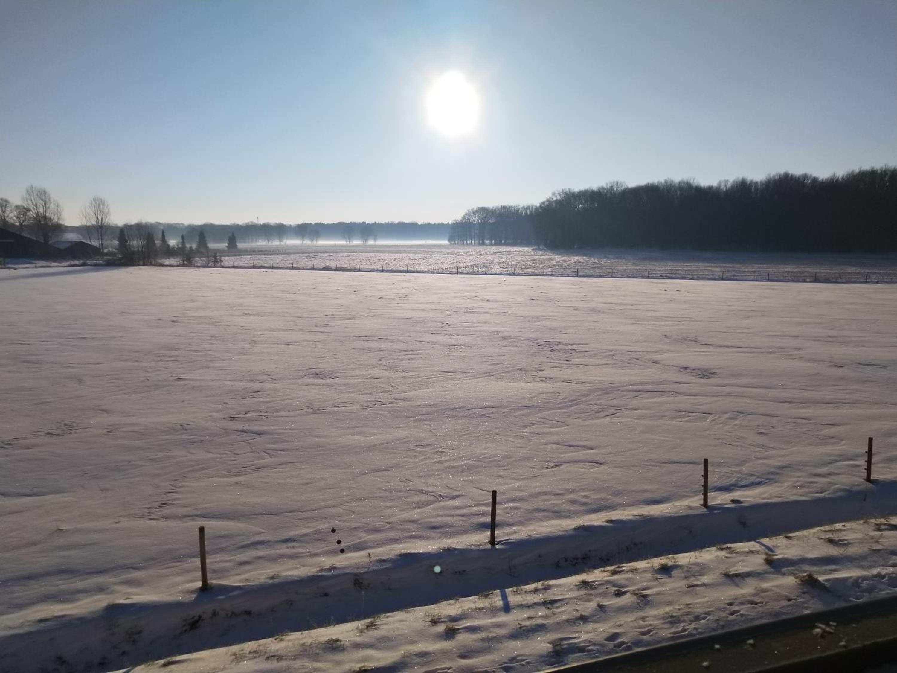 Photo 43