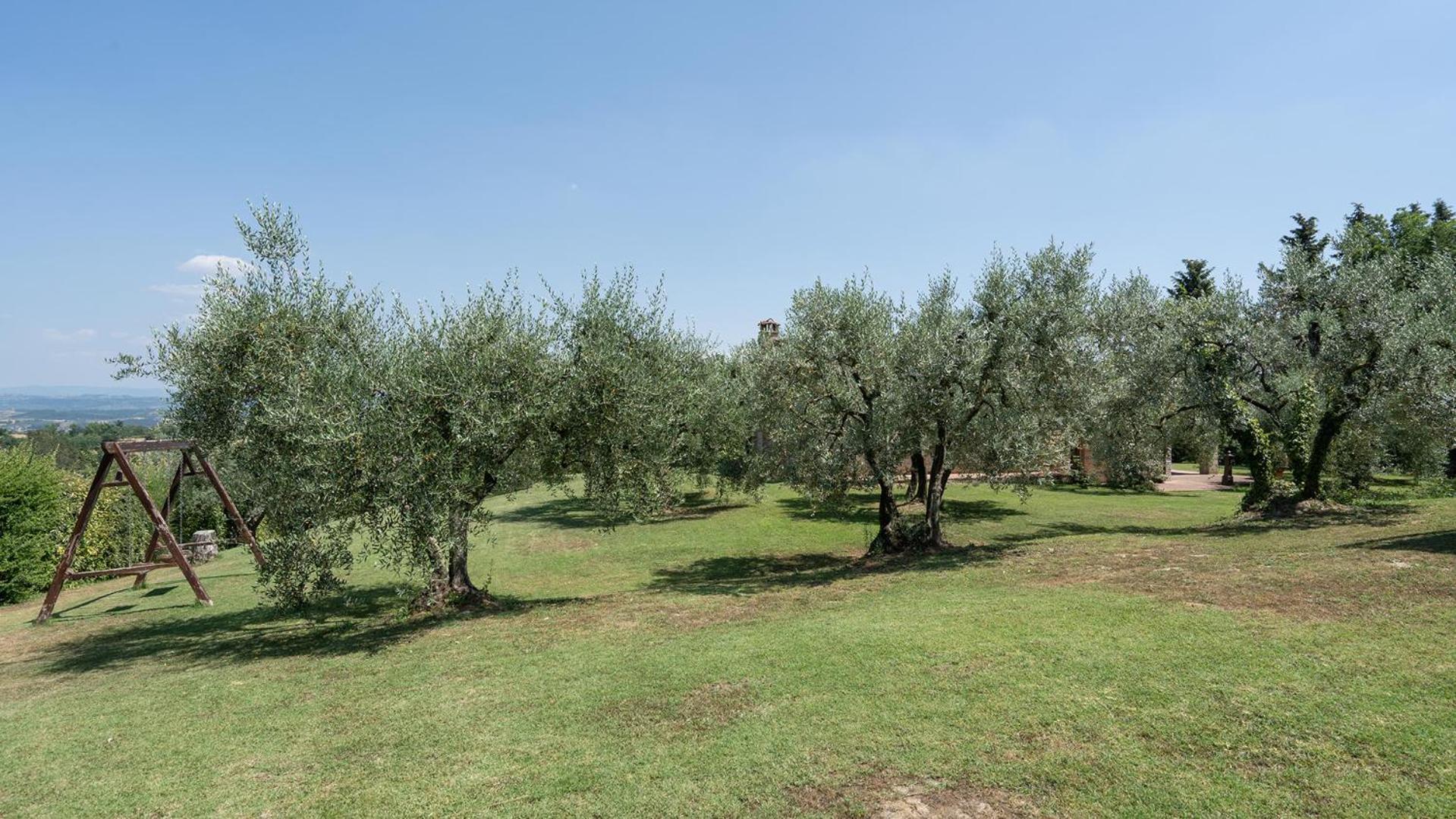 Hotel L'Oliveta 6, Emma Villas - Image 1