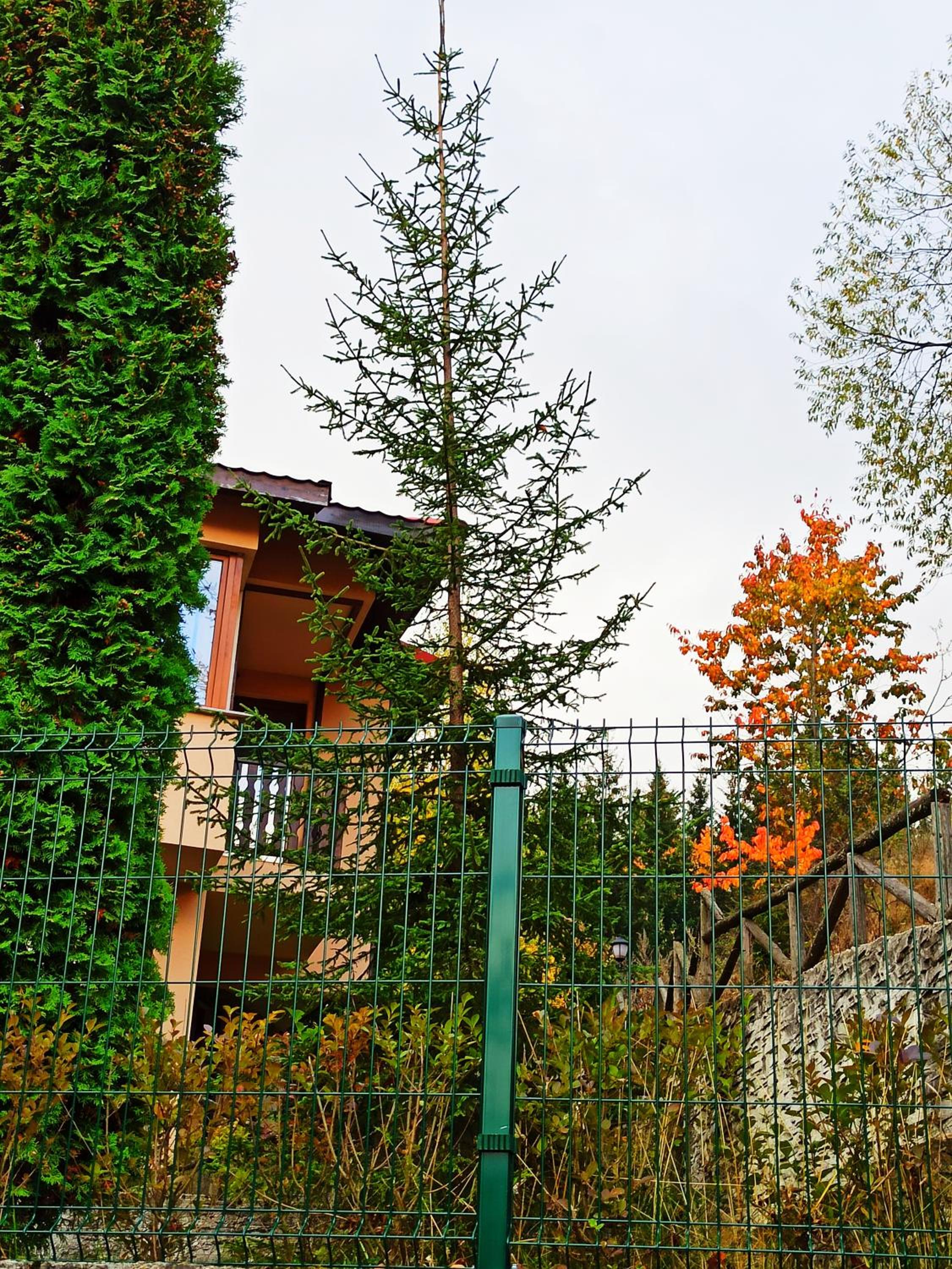 Rodopi Houses