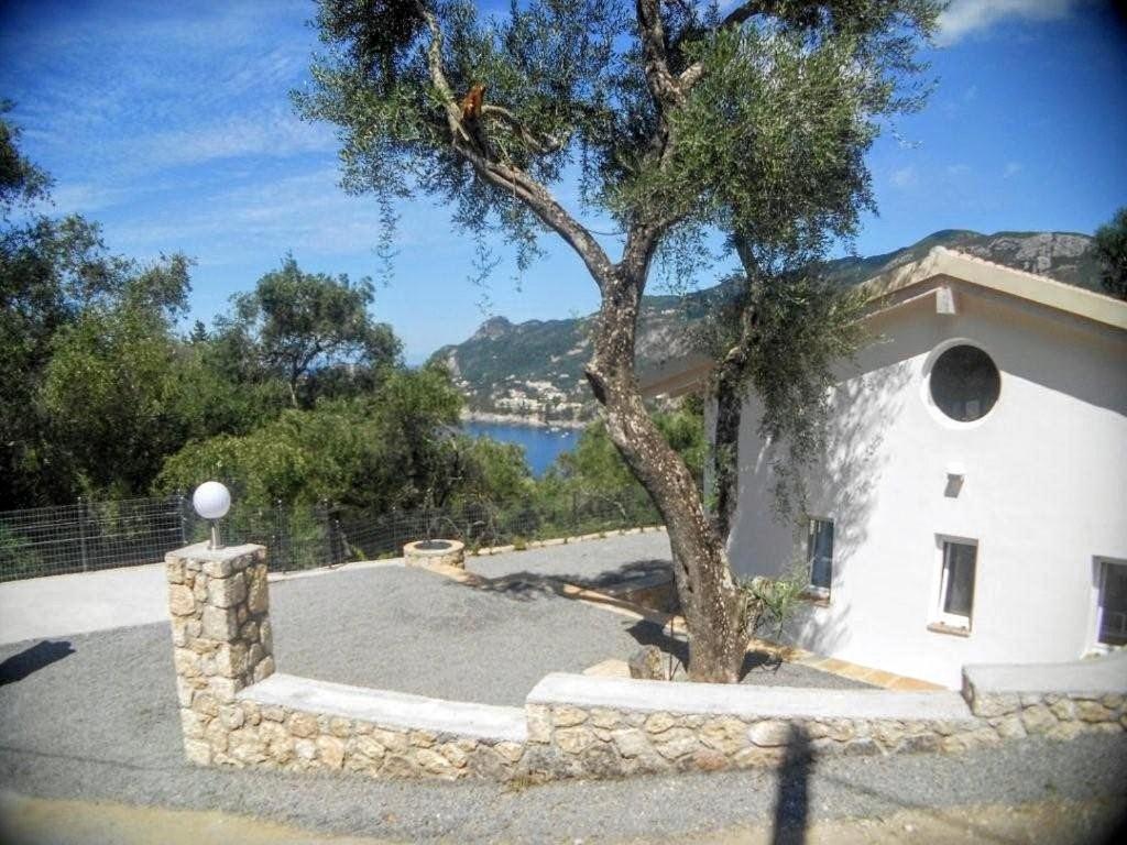 Photo 26