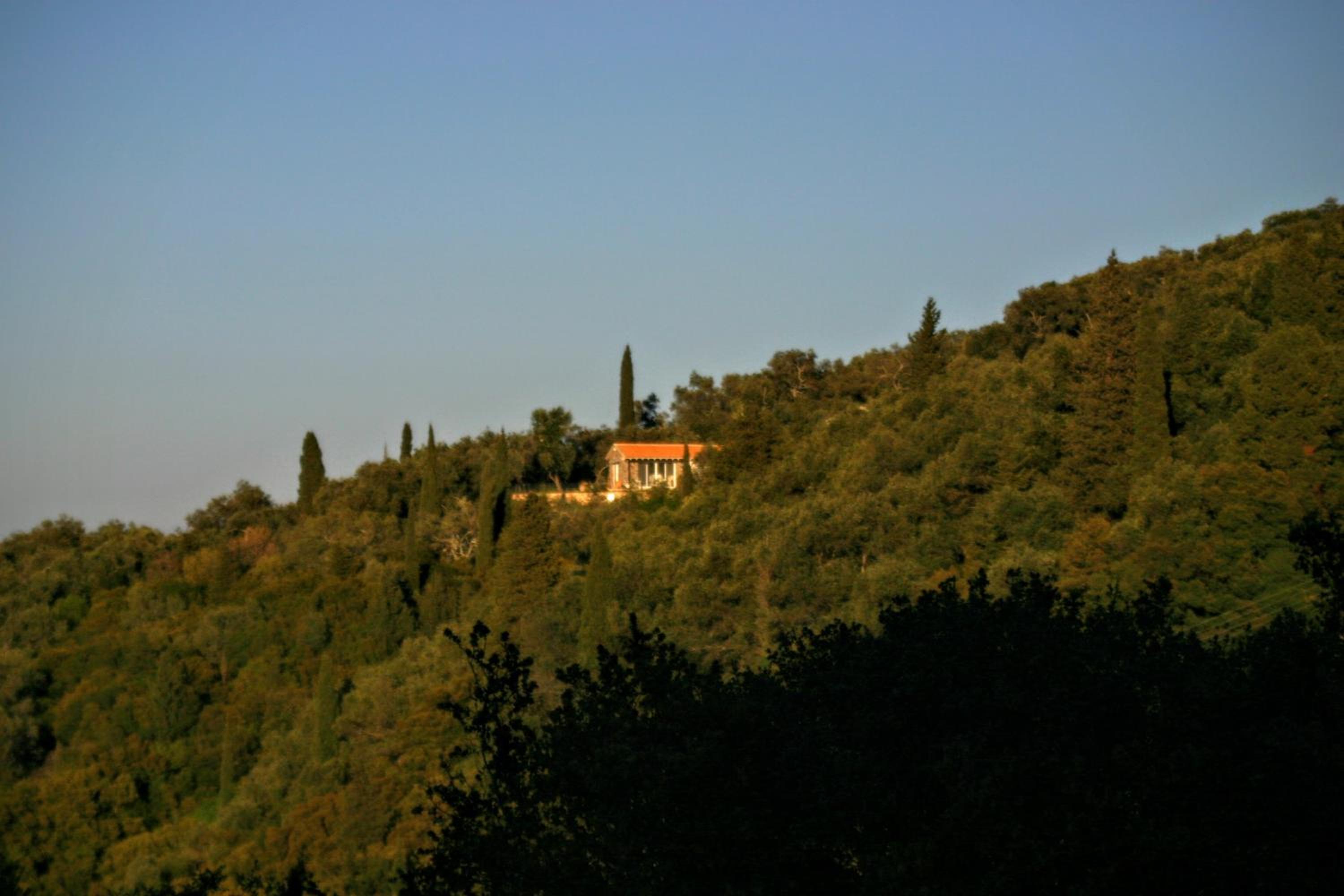 Photo 32