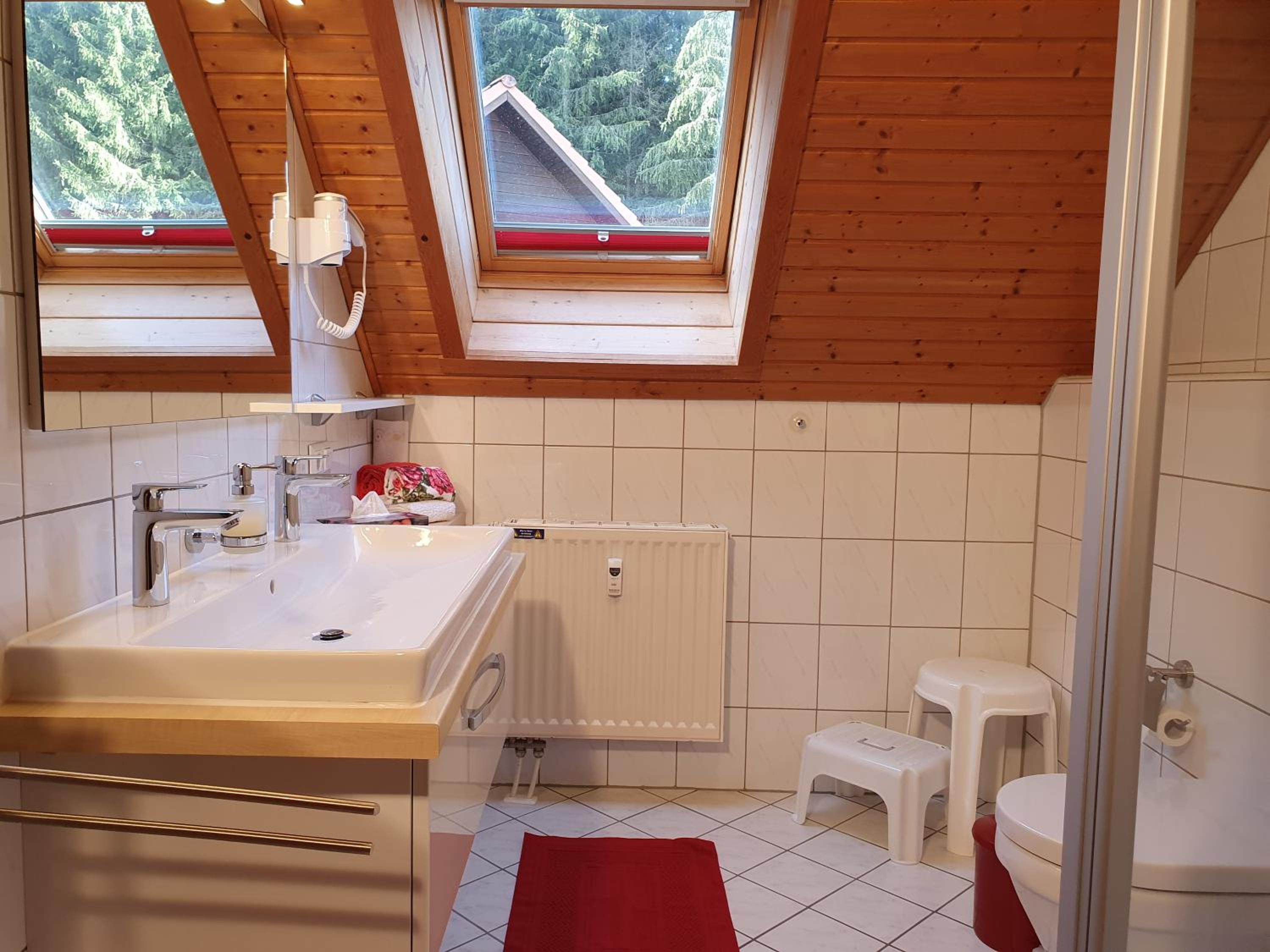 ****FH Blauvogel 60 Harz