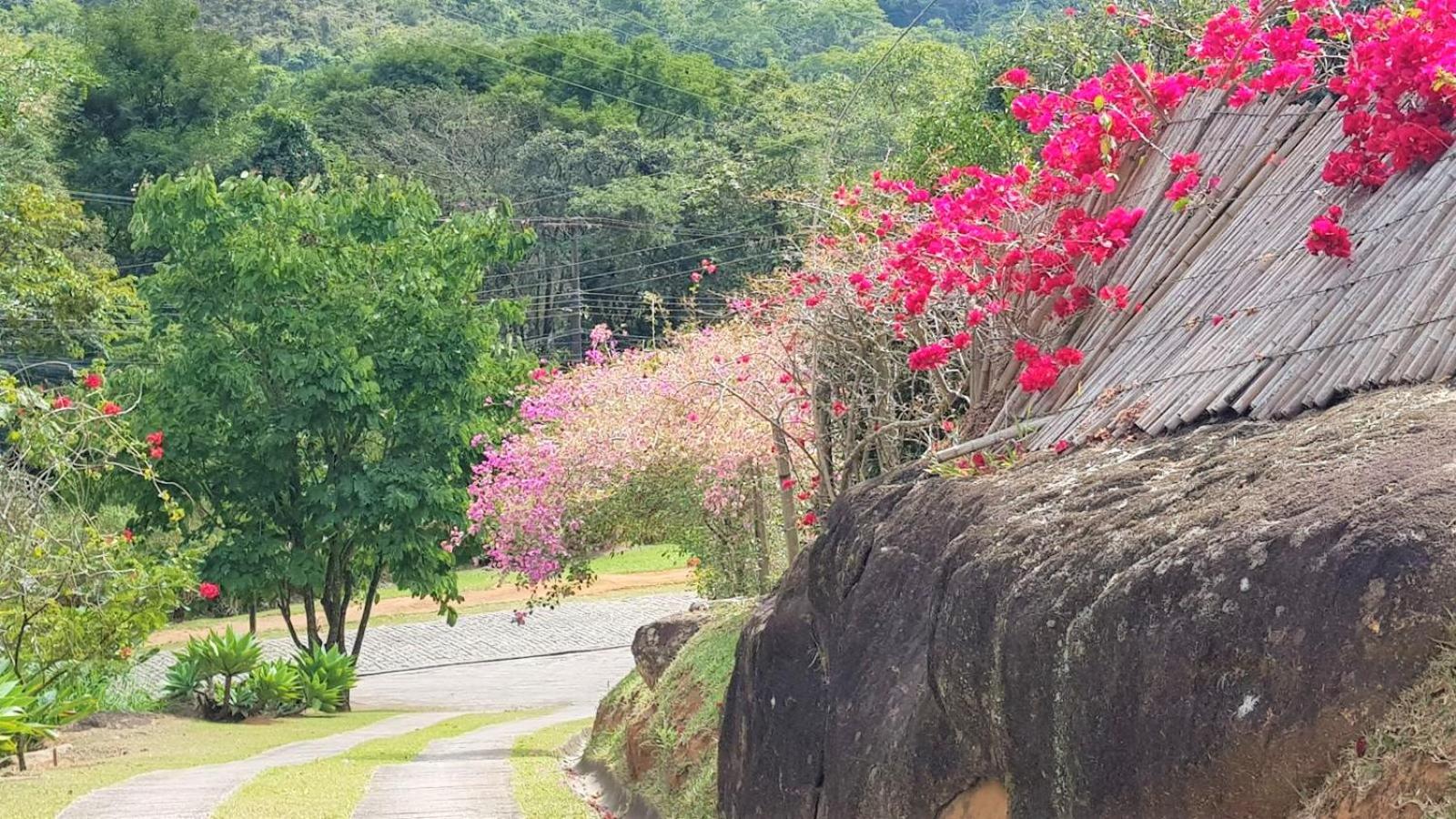 Tékinfin, você chegou! Lindo sítio em Secretário!