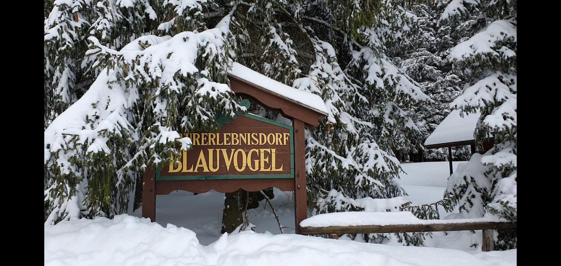 ****FH Blauvogel 60 Harz