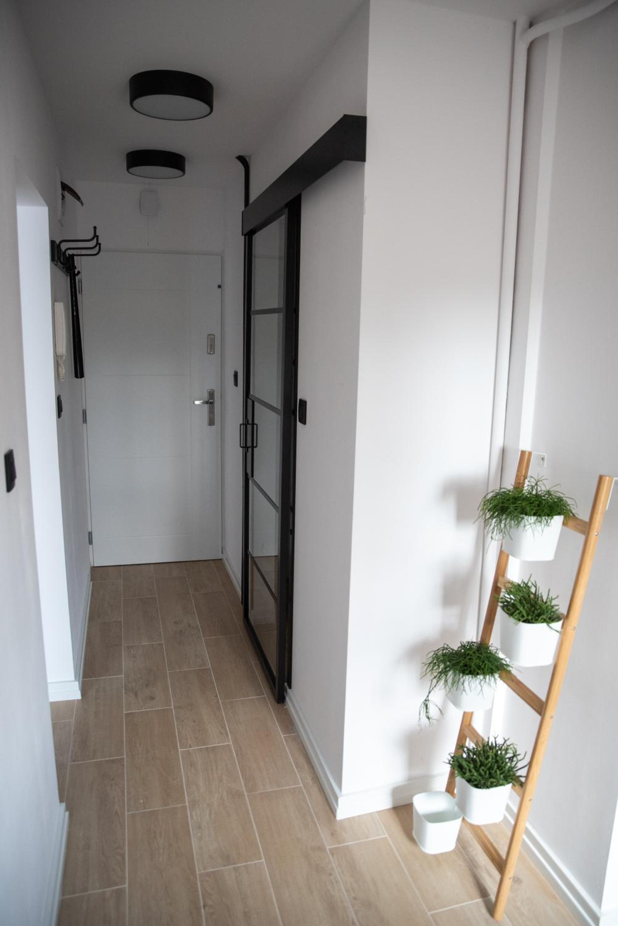 Green Loft Apartament, photo 3