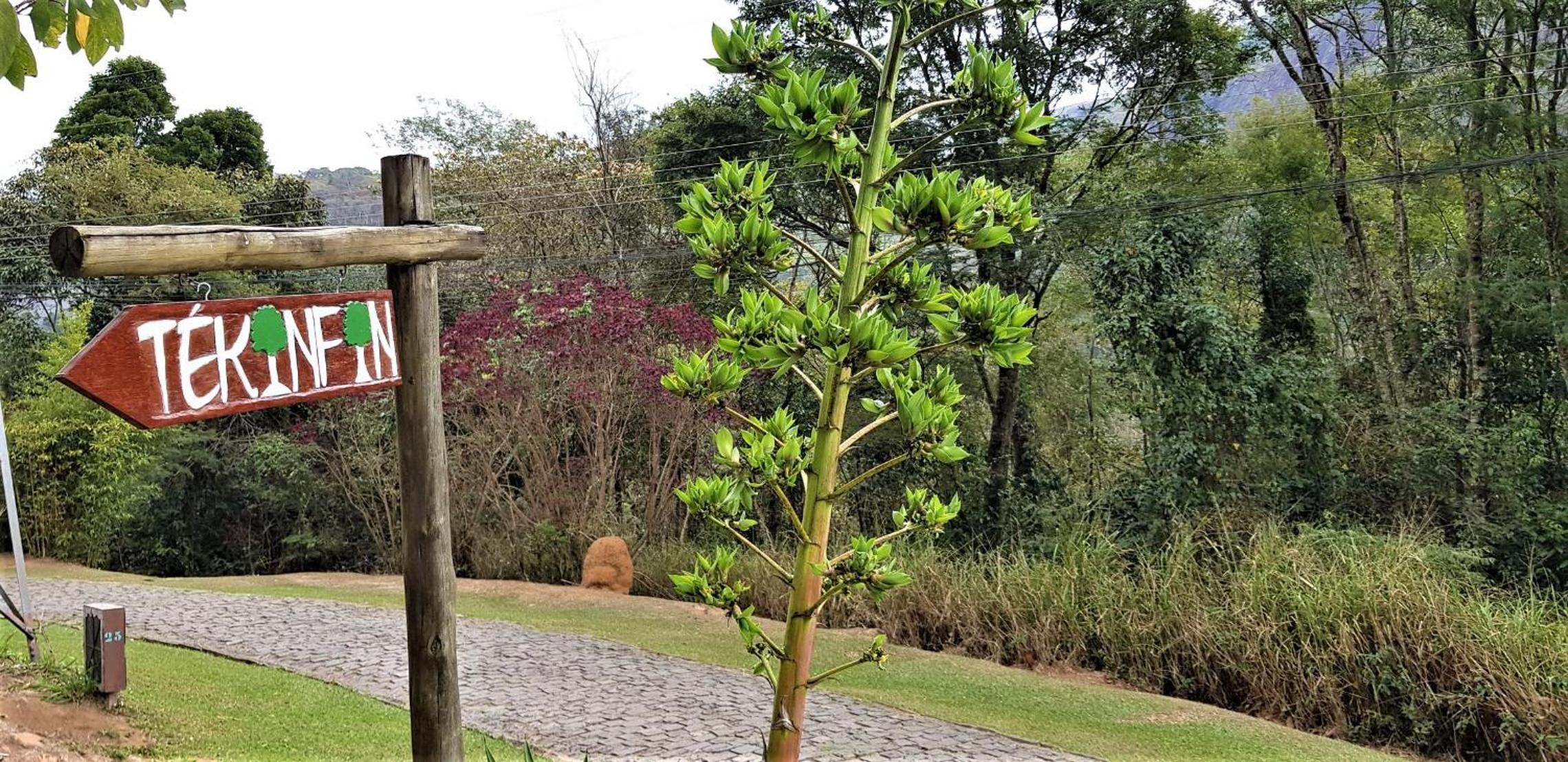 Tékinfin, você chegou! Lindo sítio em Secretário!