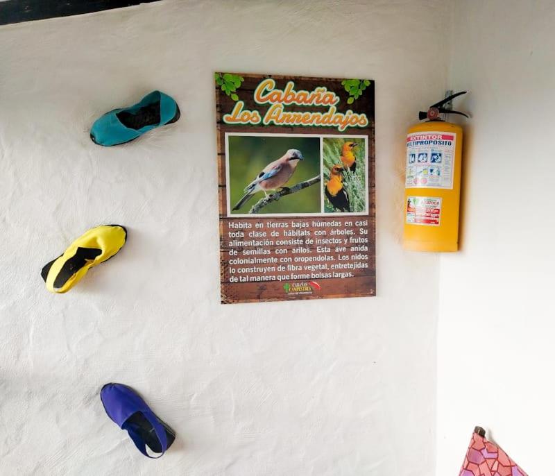 Cabañas Cañon Del Chicamocha