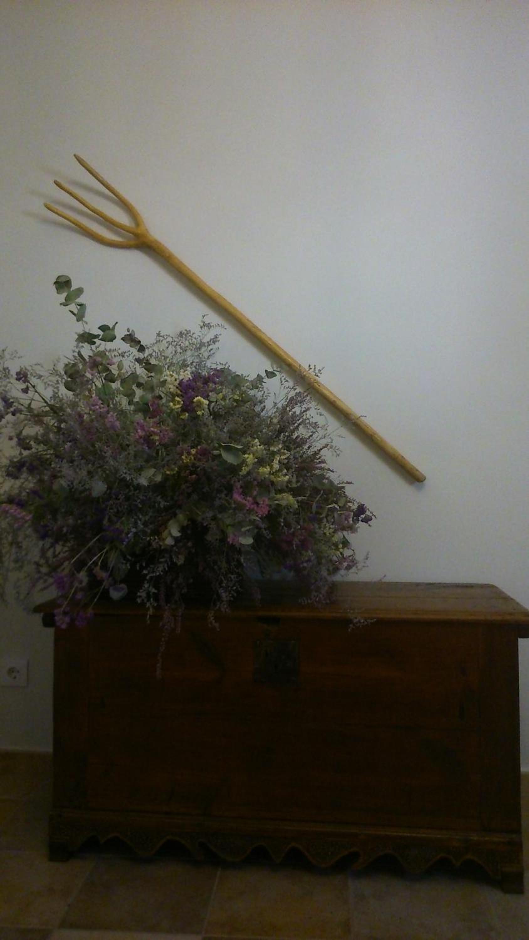 Apartamentos San Gregorio