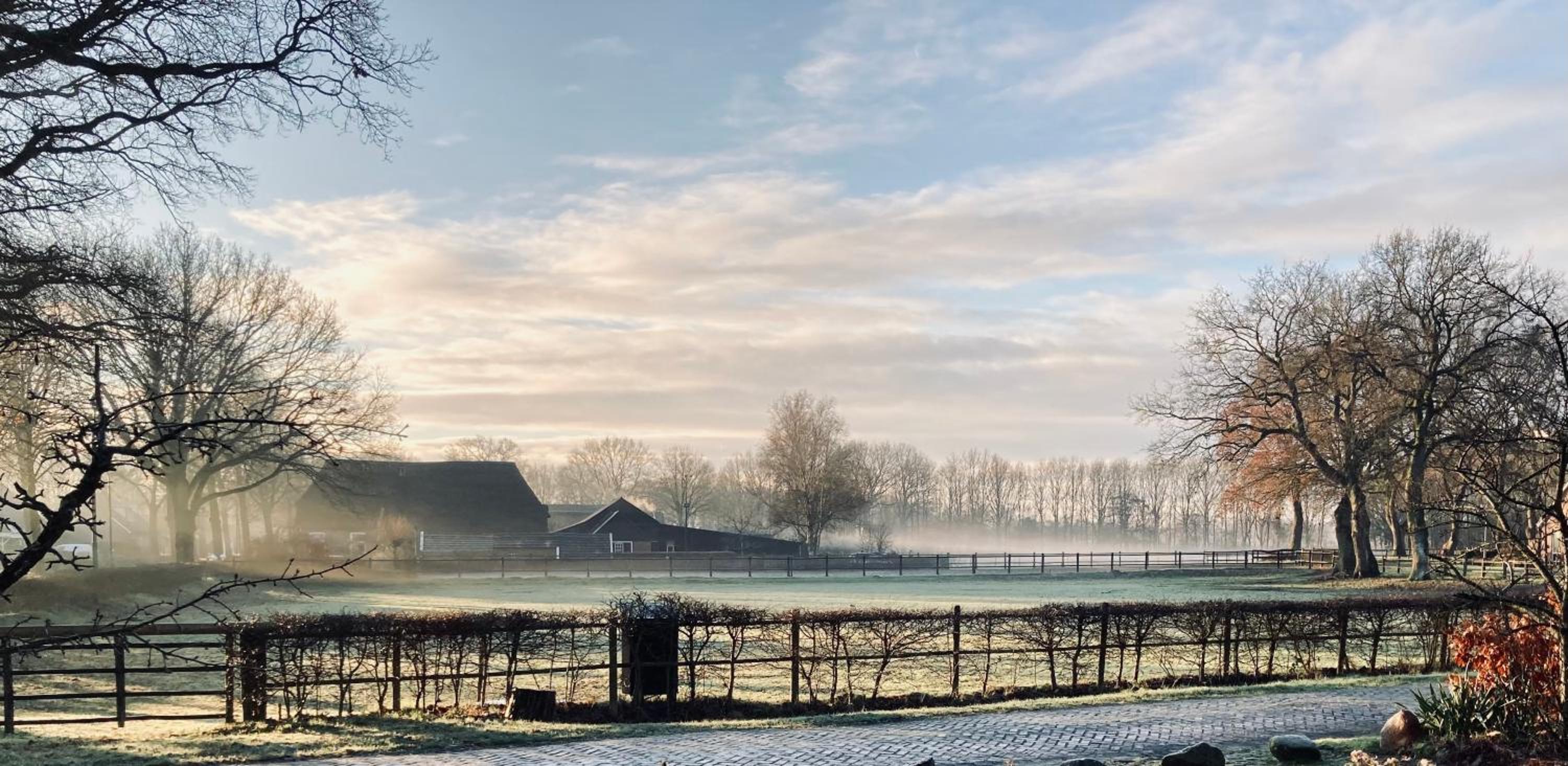De Vijf Suites