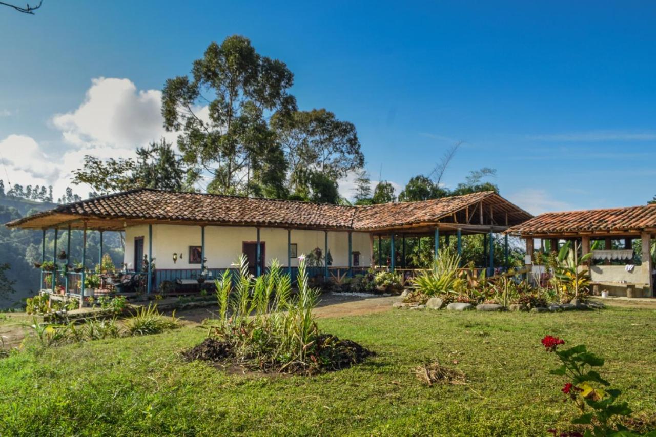 Hostal rural la montaña alquiyapura view 2