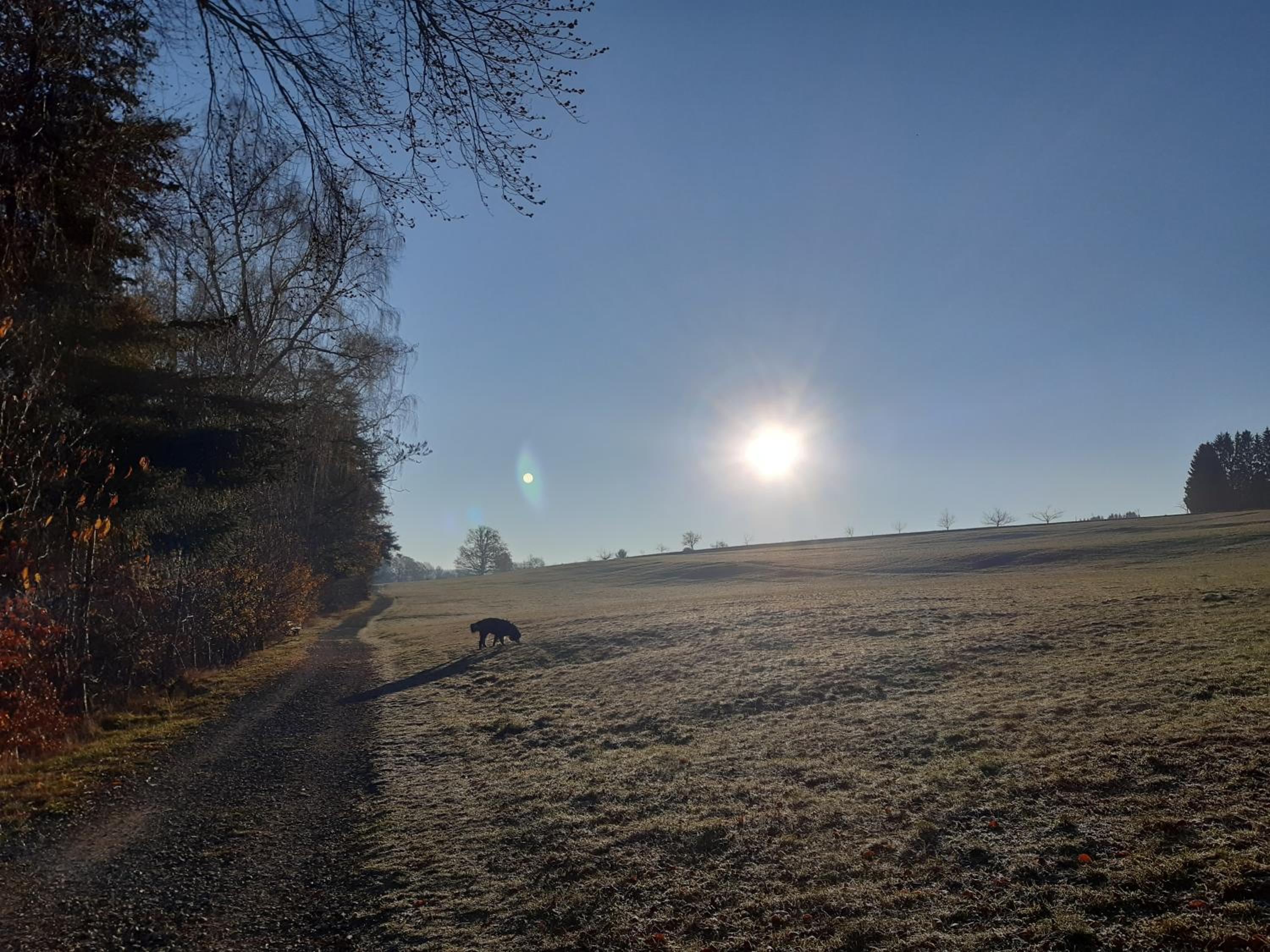 Albblick view 2