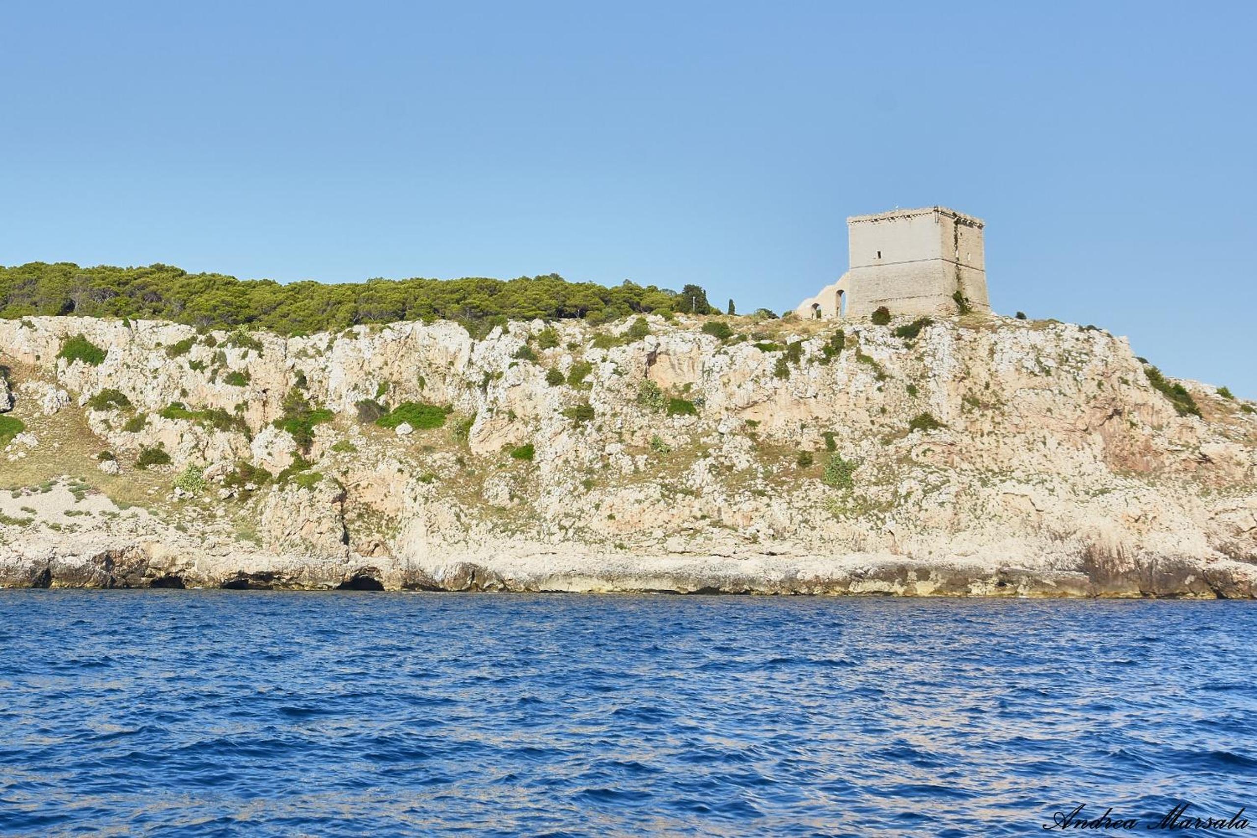 Photo 36