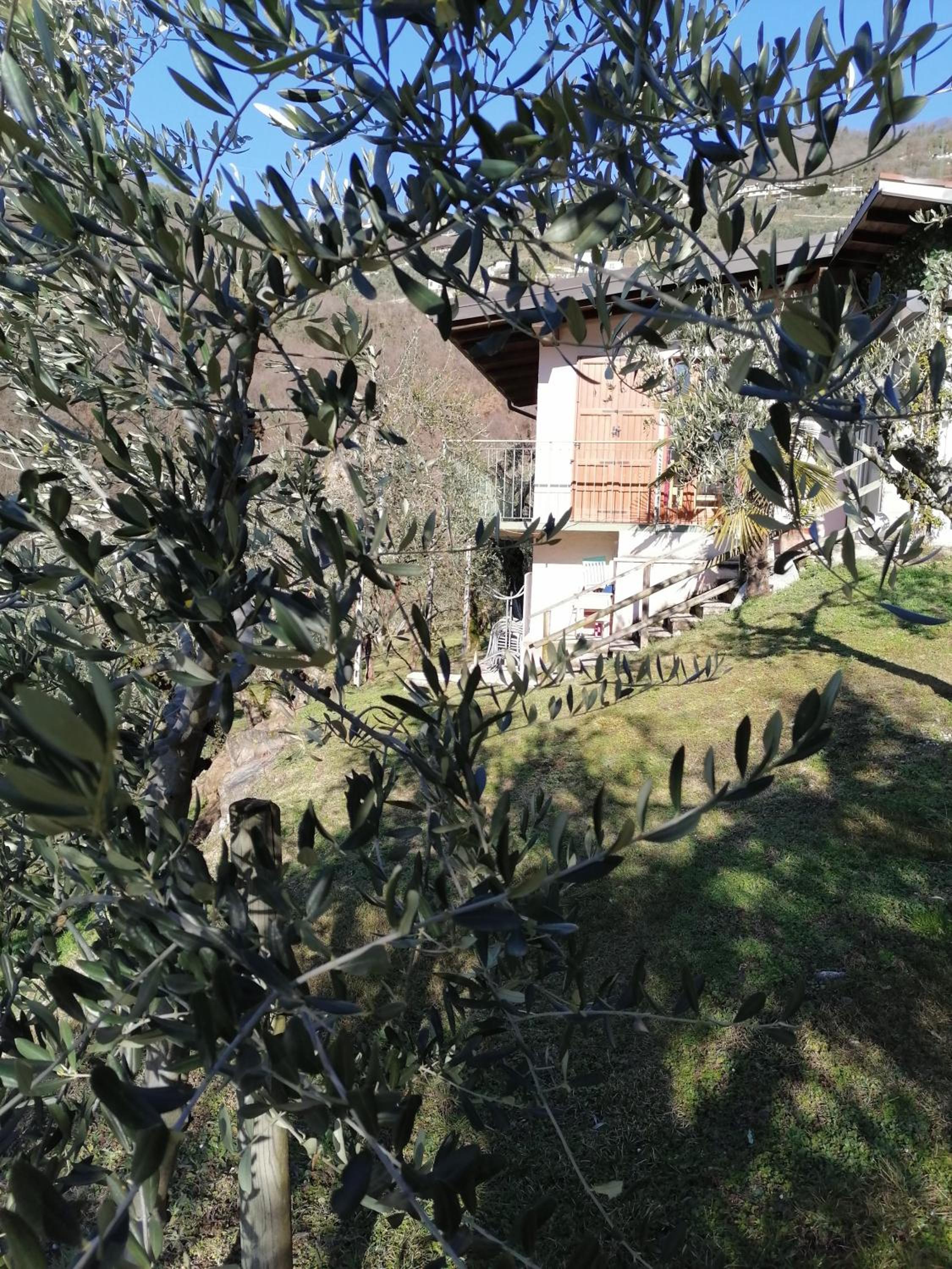 Casetta delle olive view 2