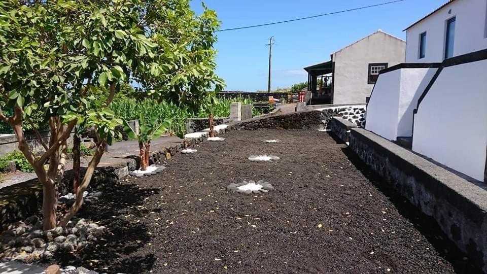 Azores Black Mountain House, Estúdio e T2 Ilha do Pico view 3