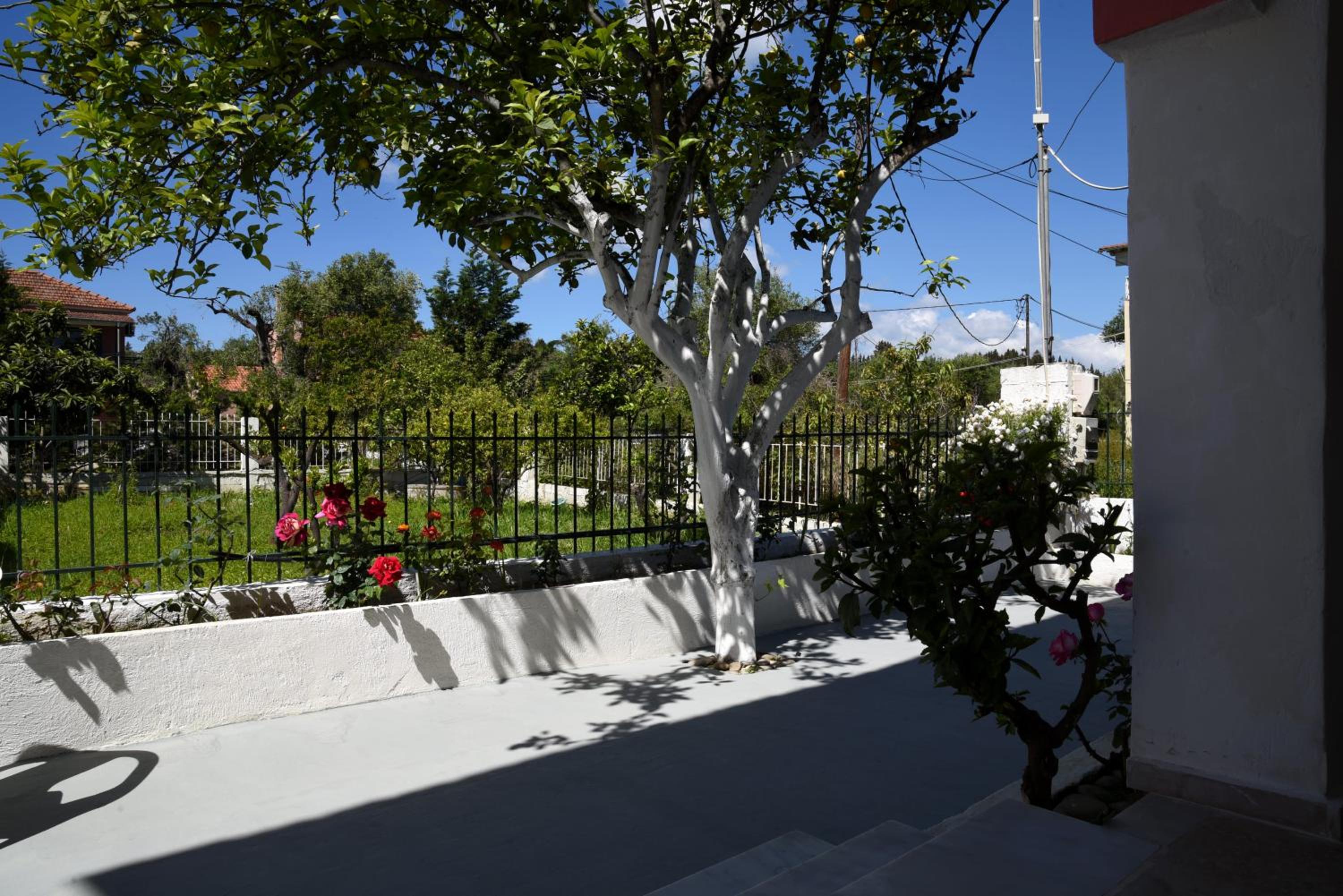 Photo 29