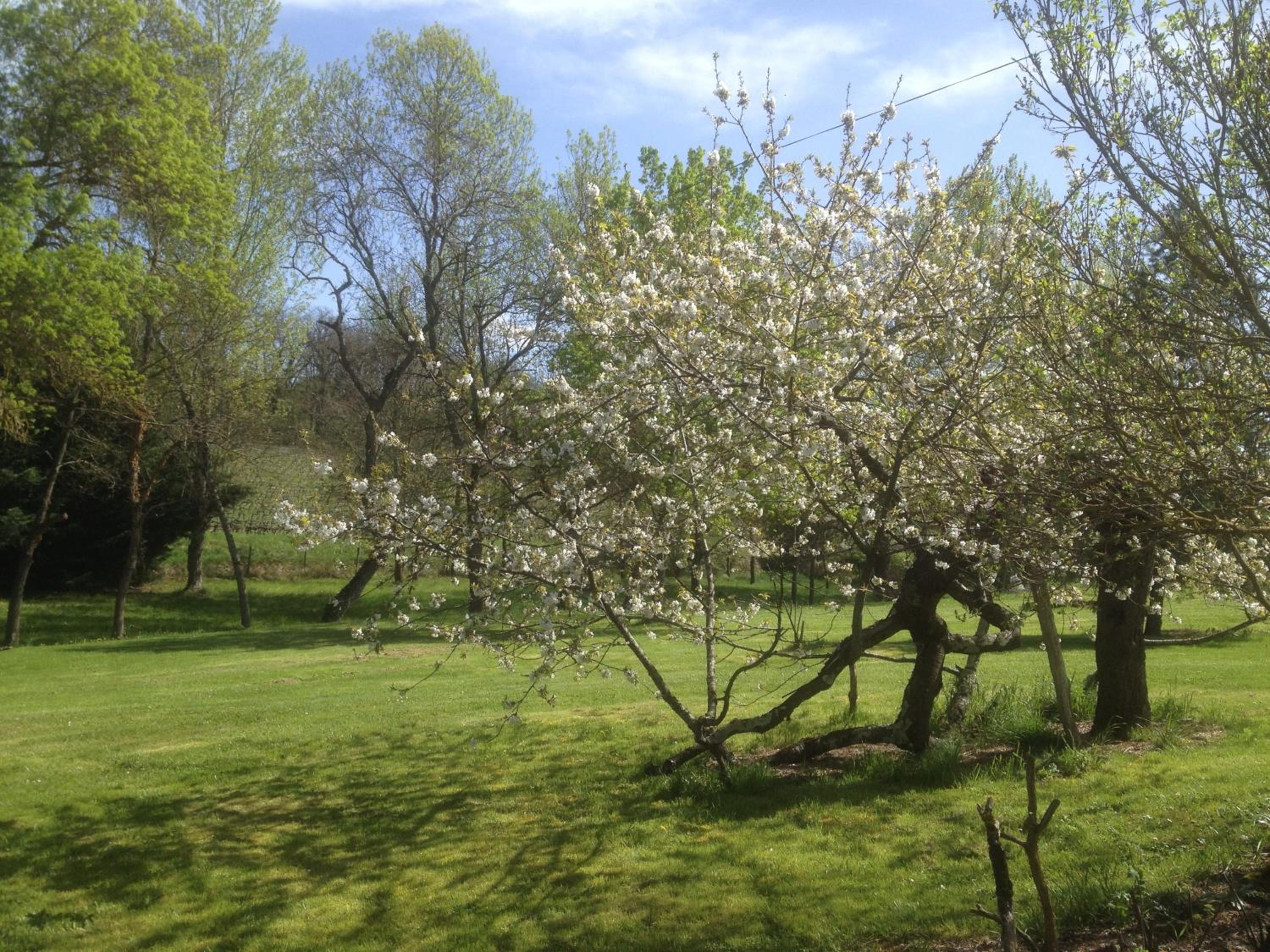 Photo 21
