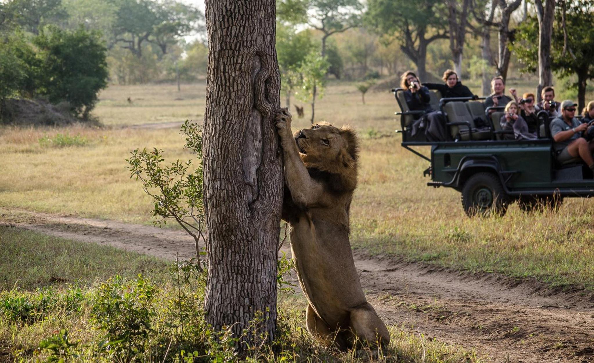 Umkumbe Safari Lodge Riverside