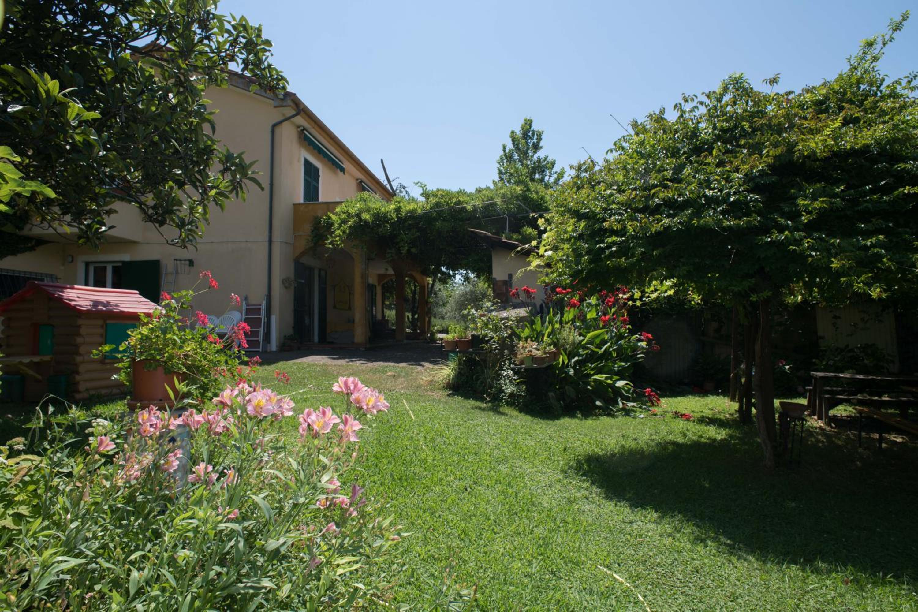 Photo 8