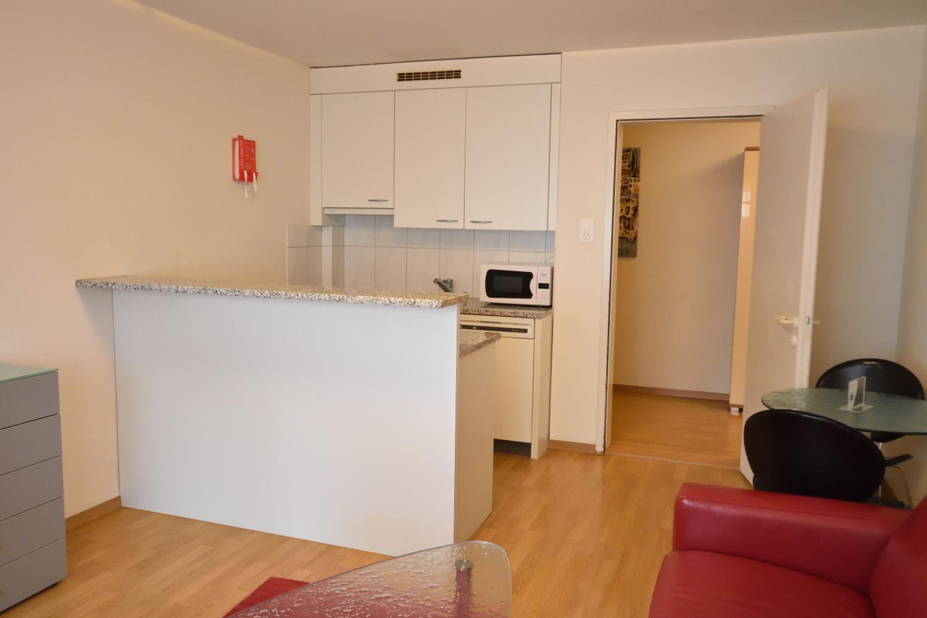 Nice 1BR flat in the city center - Crown 3