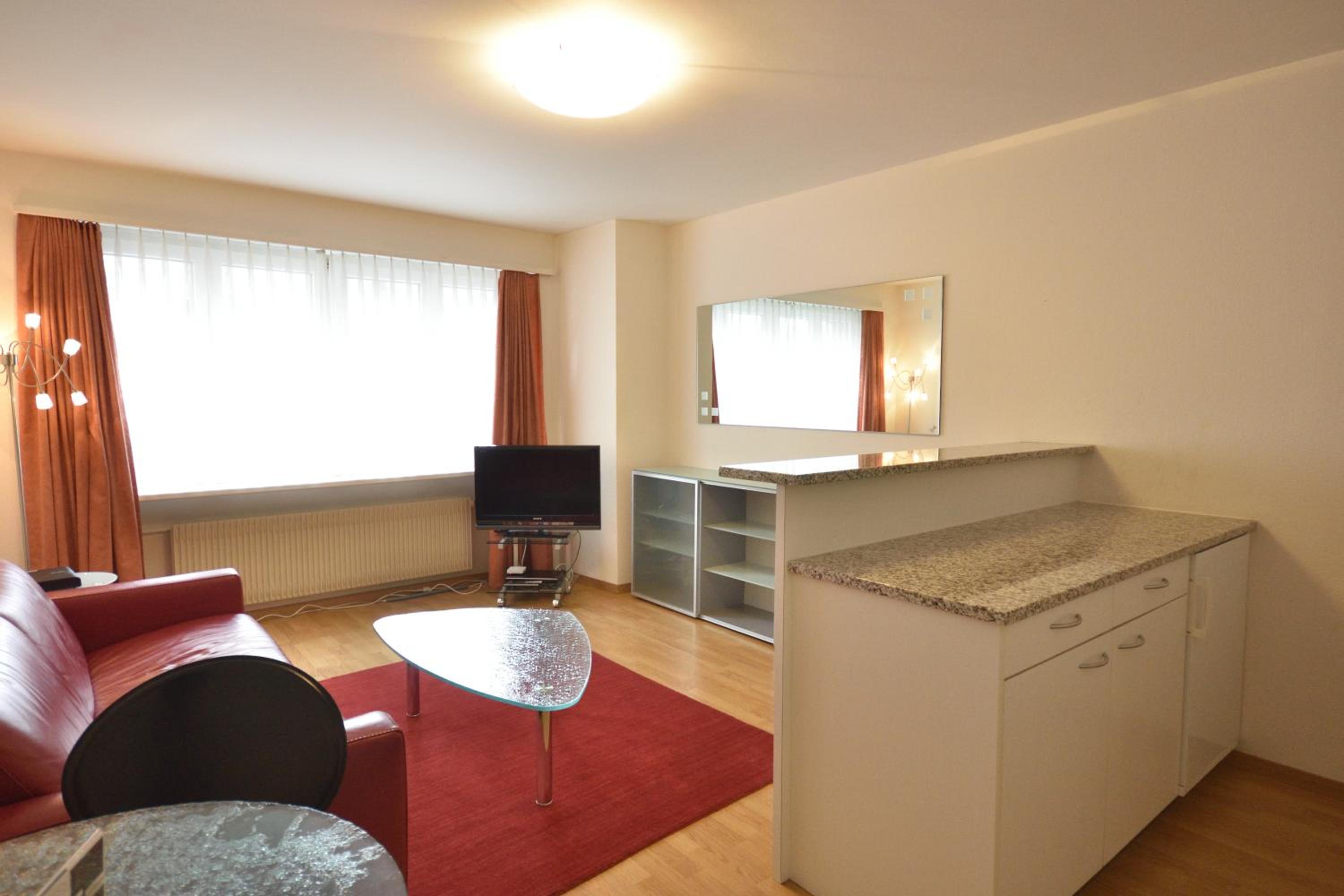 Nice 1BR flat in the city center - Crown 3