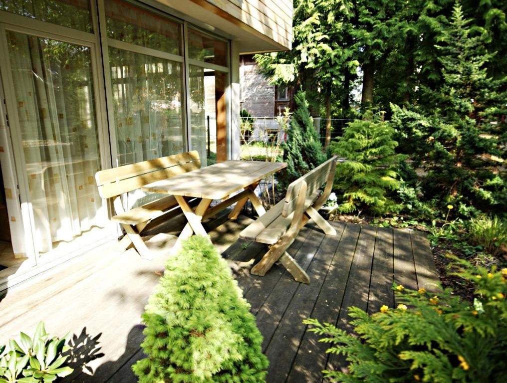 Photo 50