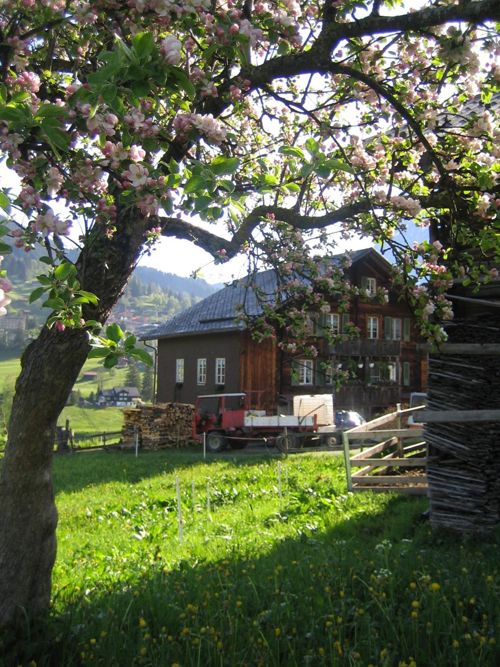Chalet Bärgblick