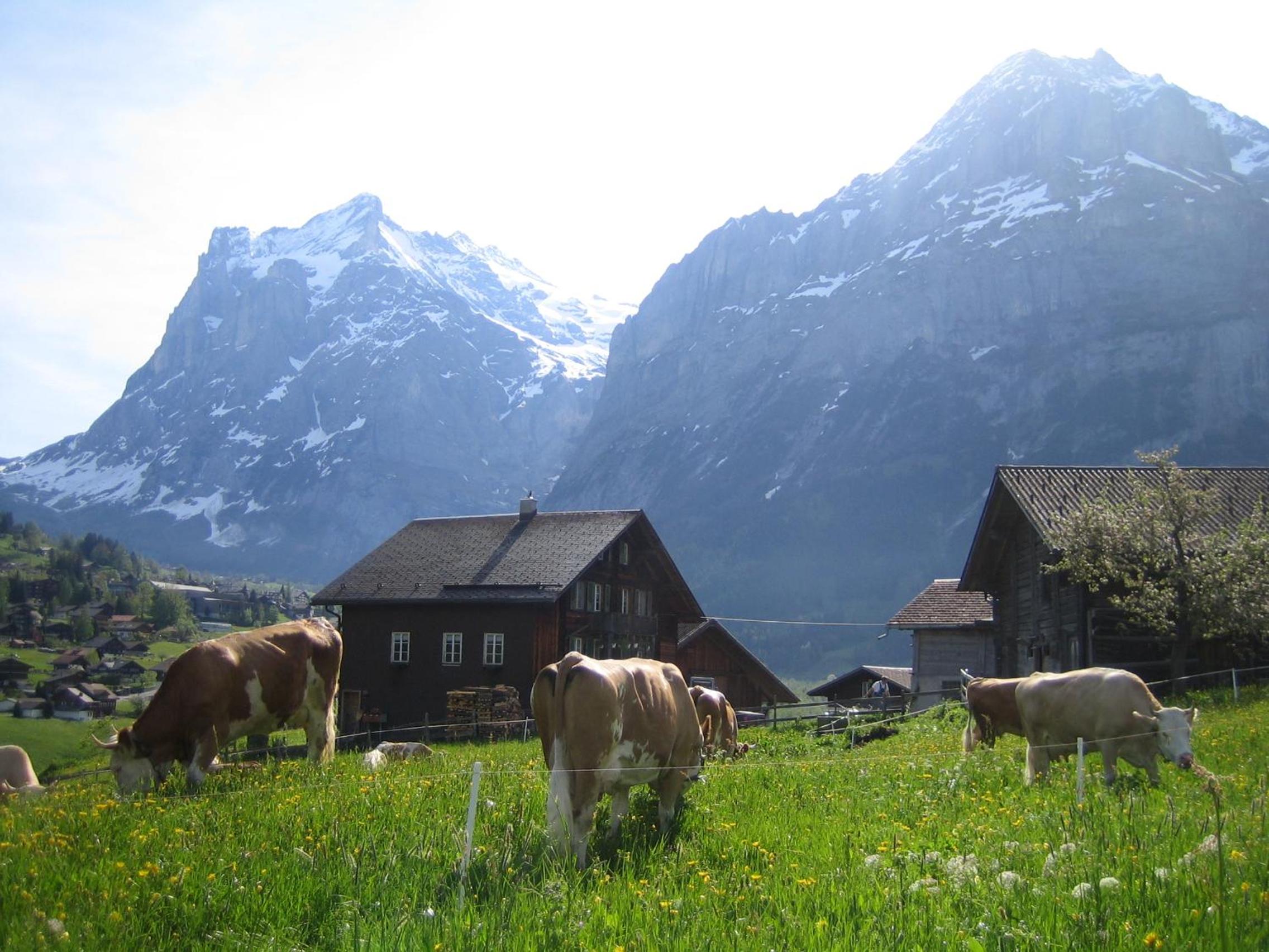 Chalet Bärgblick