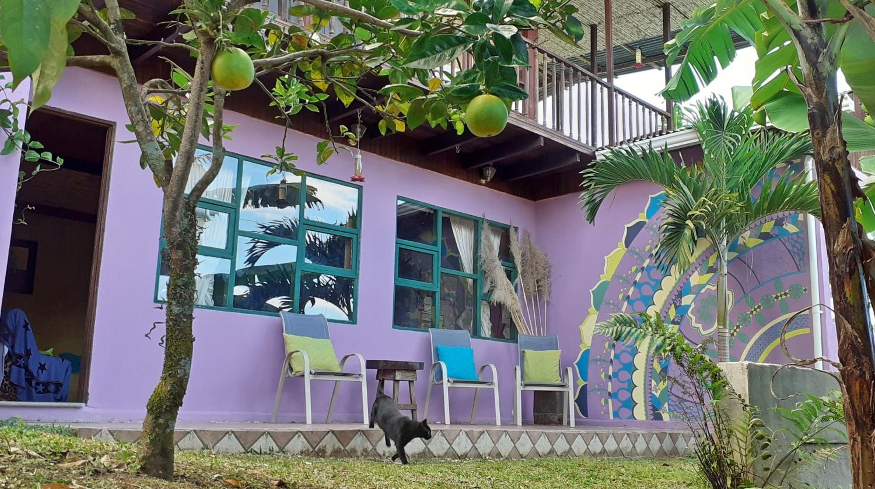 Montaña Linda Guest House Orosi