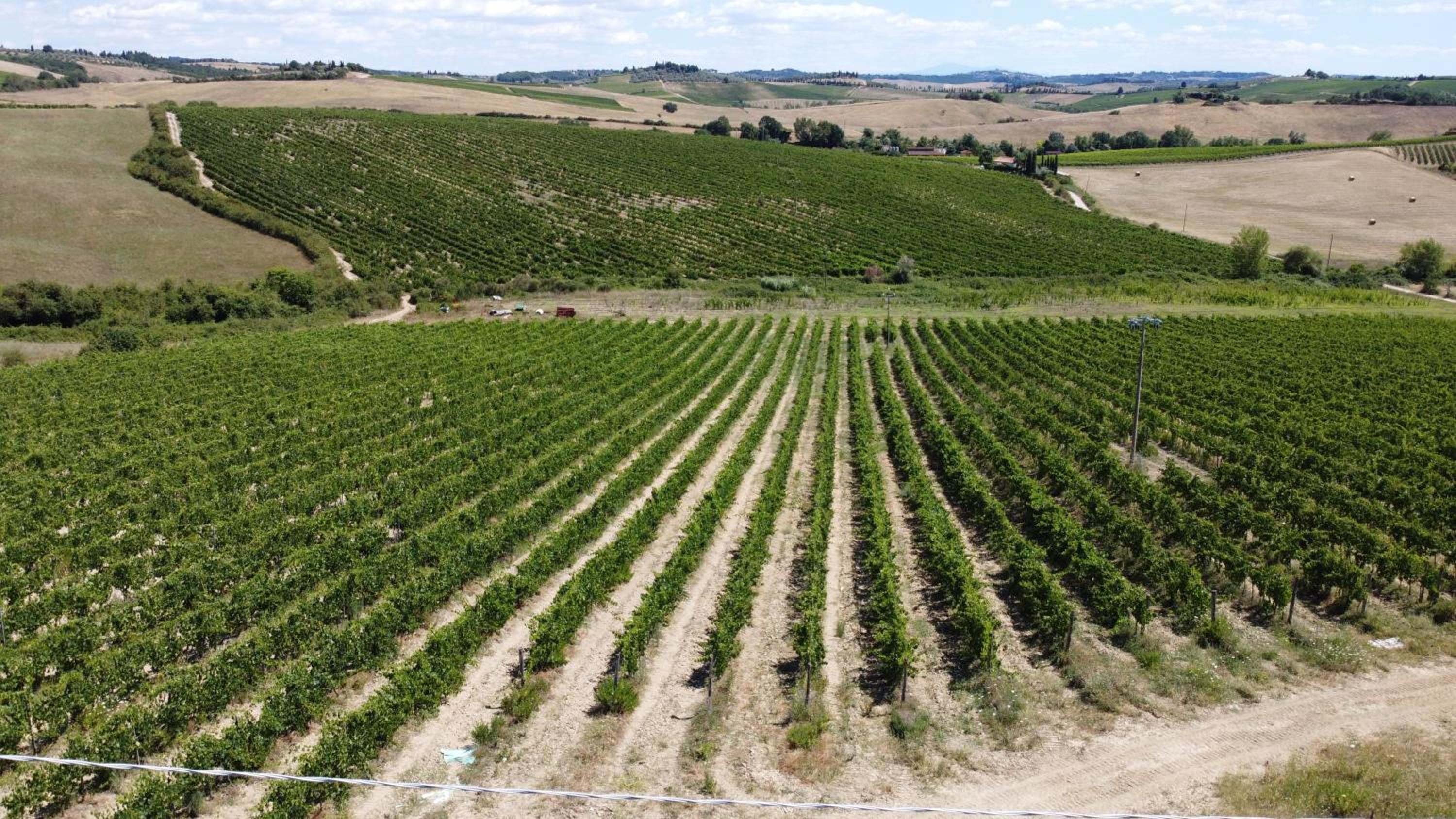 AZ.AGR.POGGIO REGINI view 4