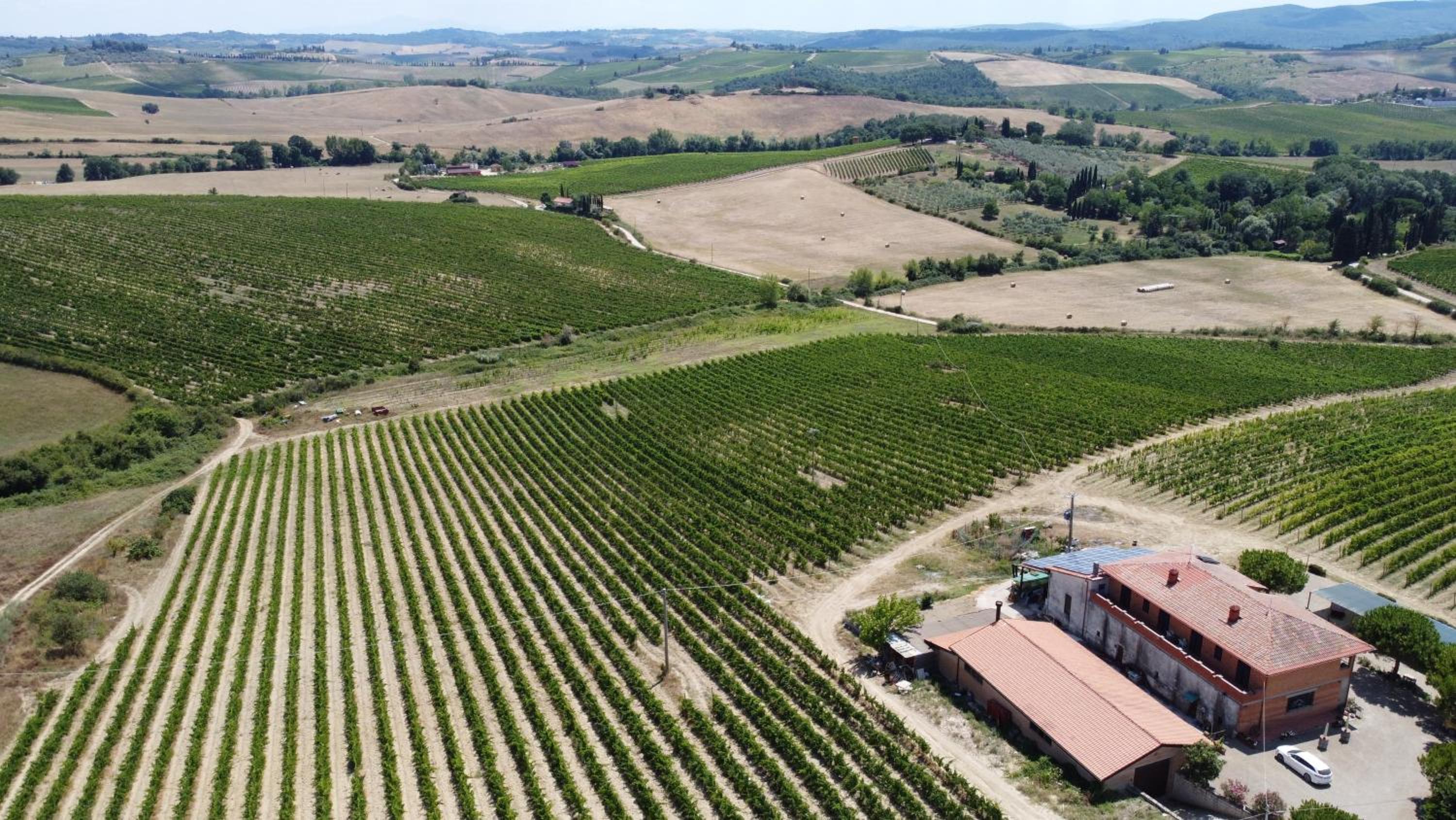 AZ.AGR.POGGIO REGINI view 3