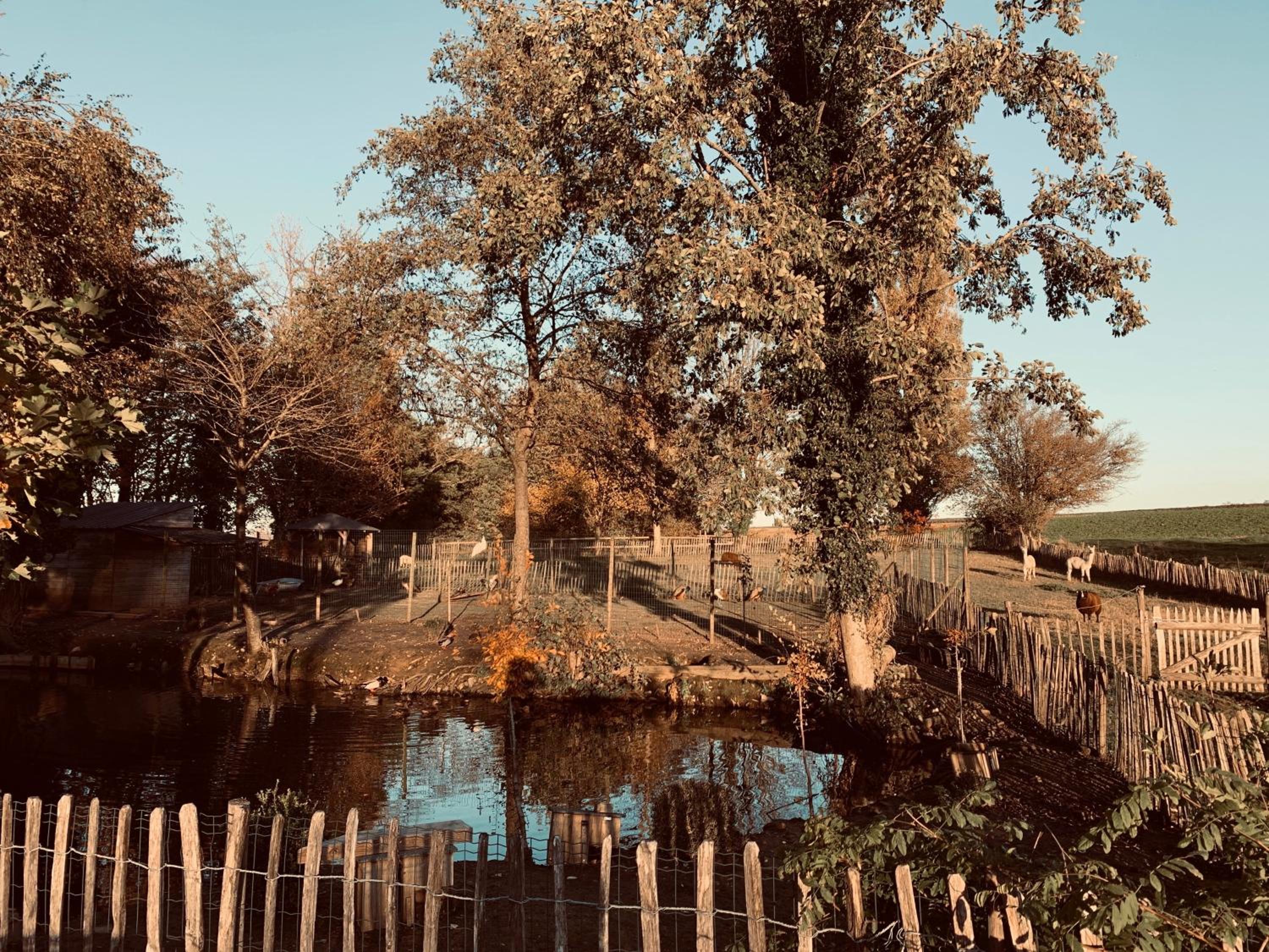 MMGhome - Gîte à la ferme