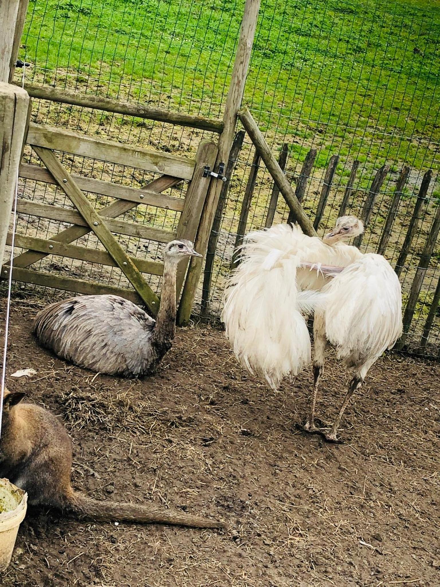 MMGhome - Gîte à la ferme