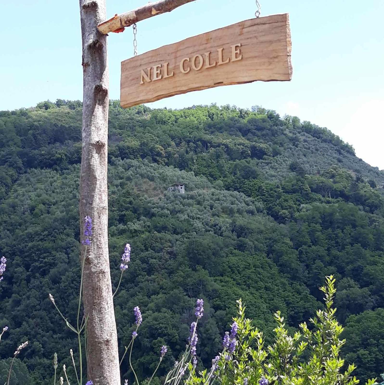 Nel Colle view 4