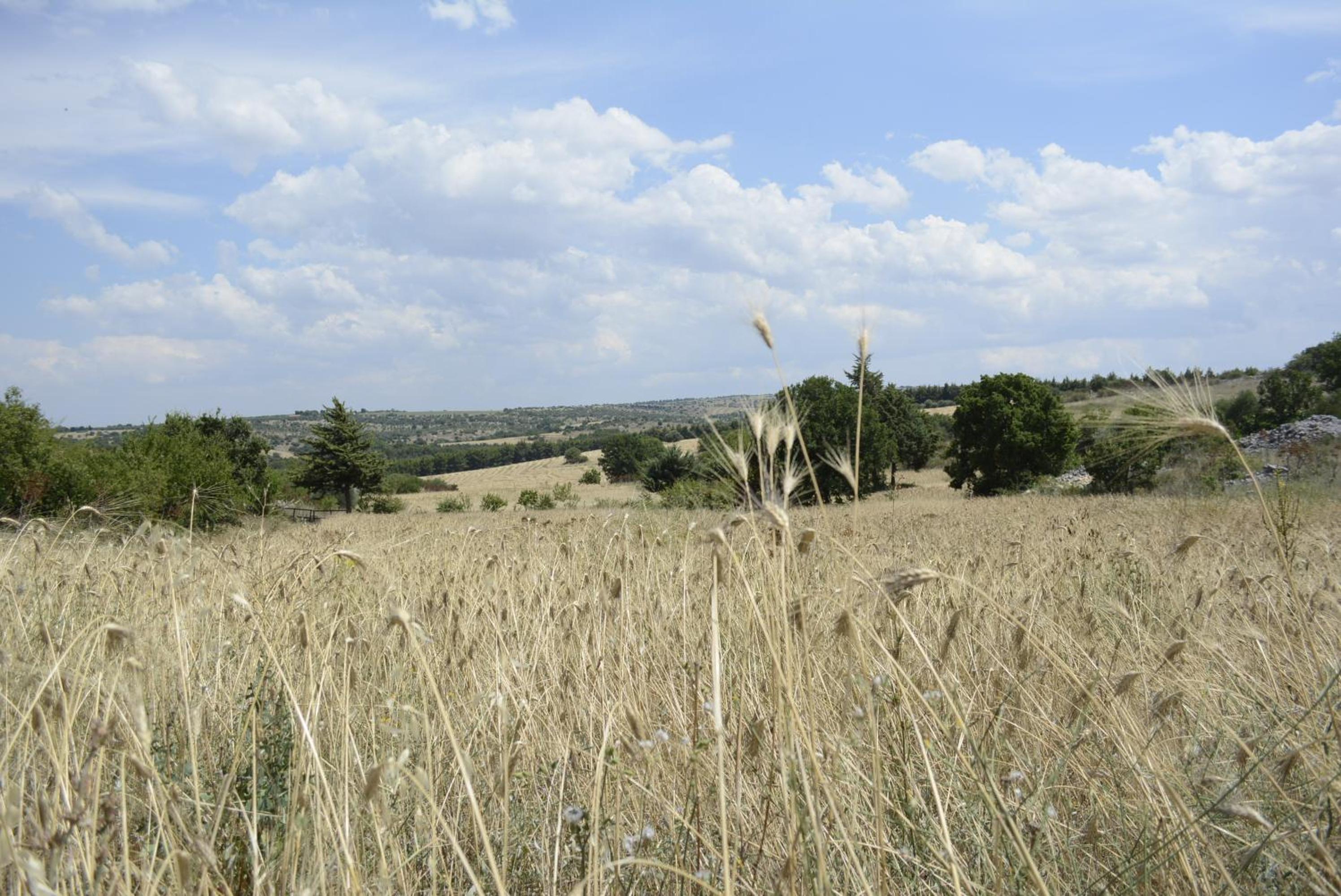 Photo 38