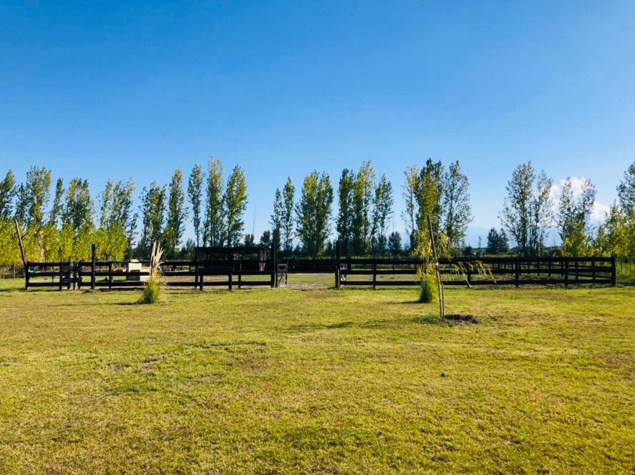 El Madejo - del Valle de Uco