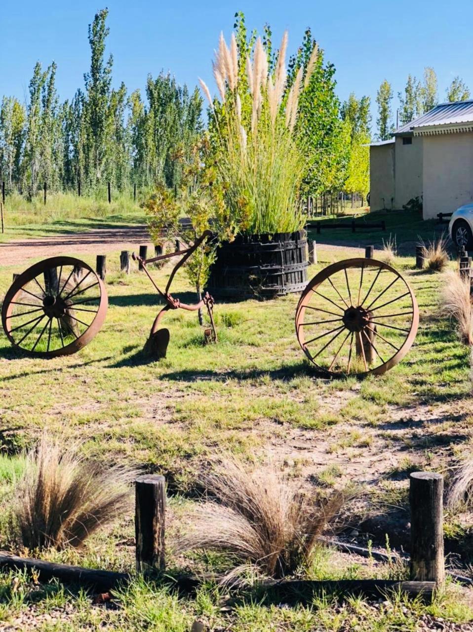 El Madejo - del Valle de Uco